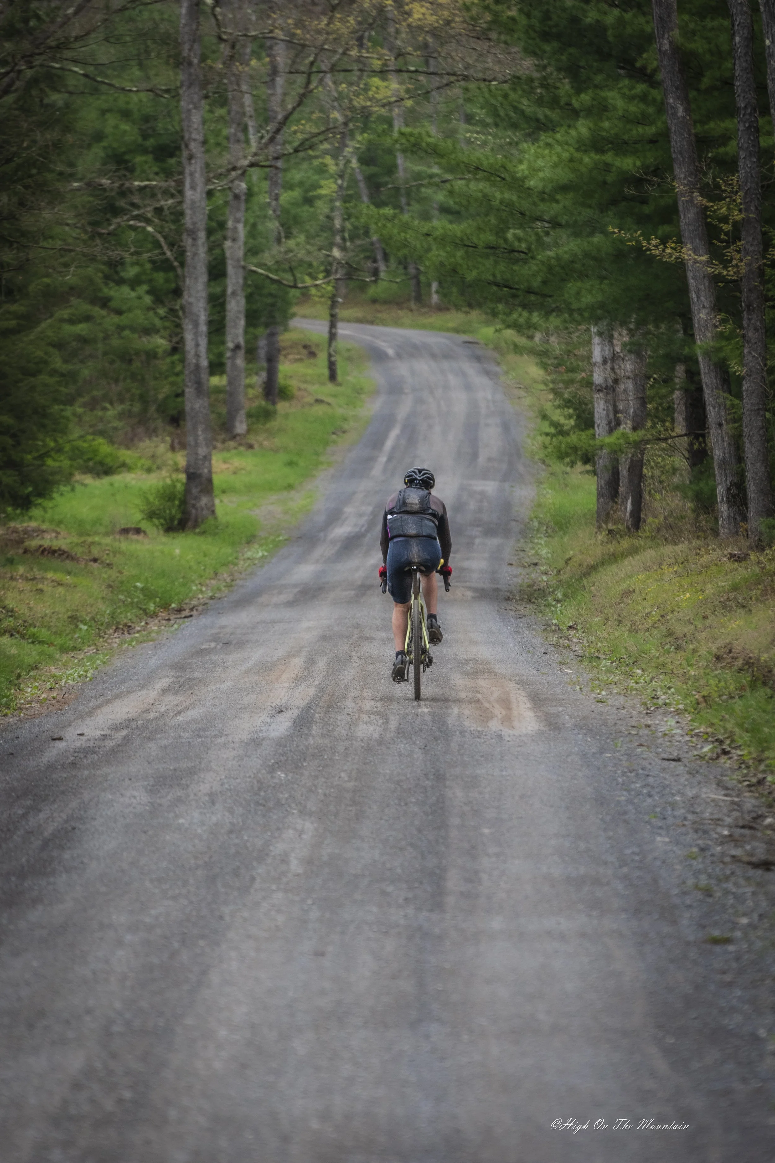 A cyclist riding a bike on a winding dirt road through a lush green forest.