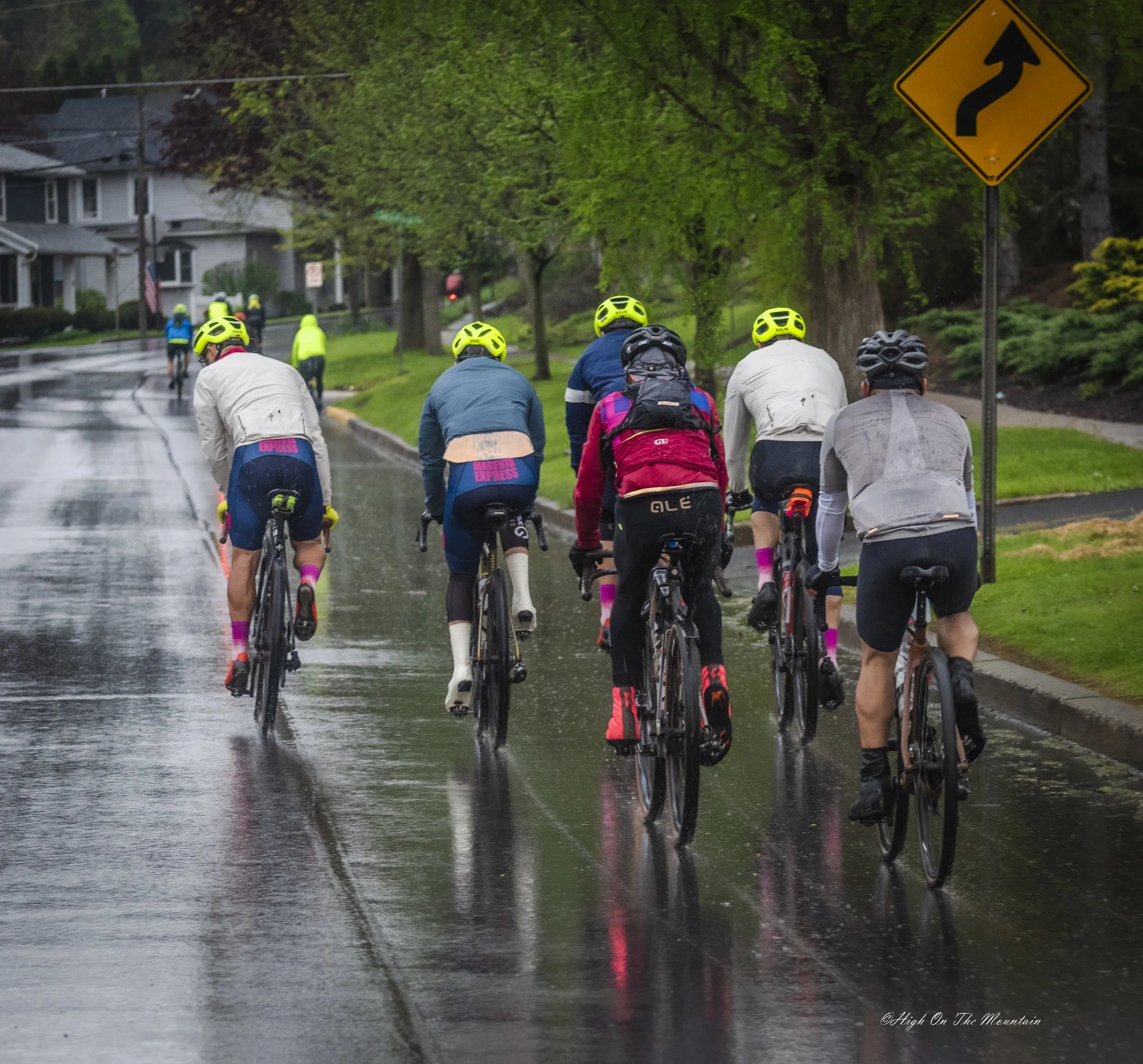 Bicyclists riding on a wet street under a blue sky with green trees and houses, with a yellow curve road sign in the background.