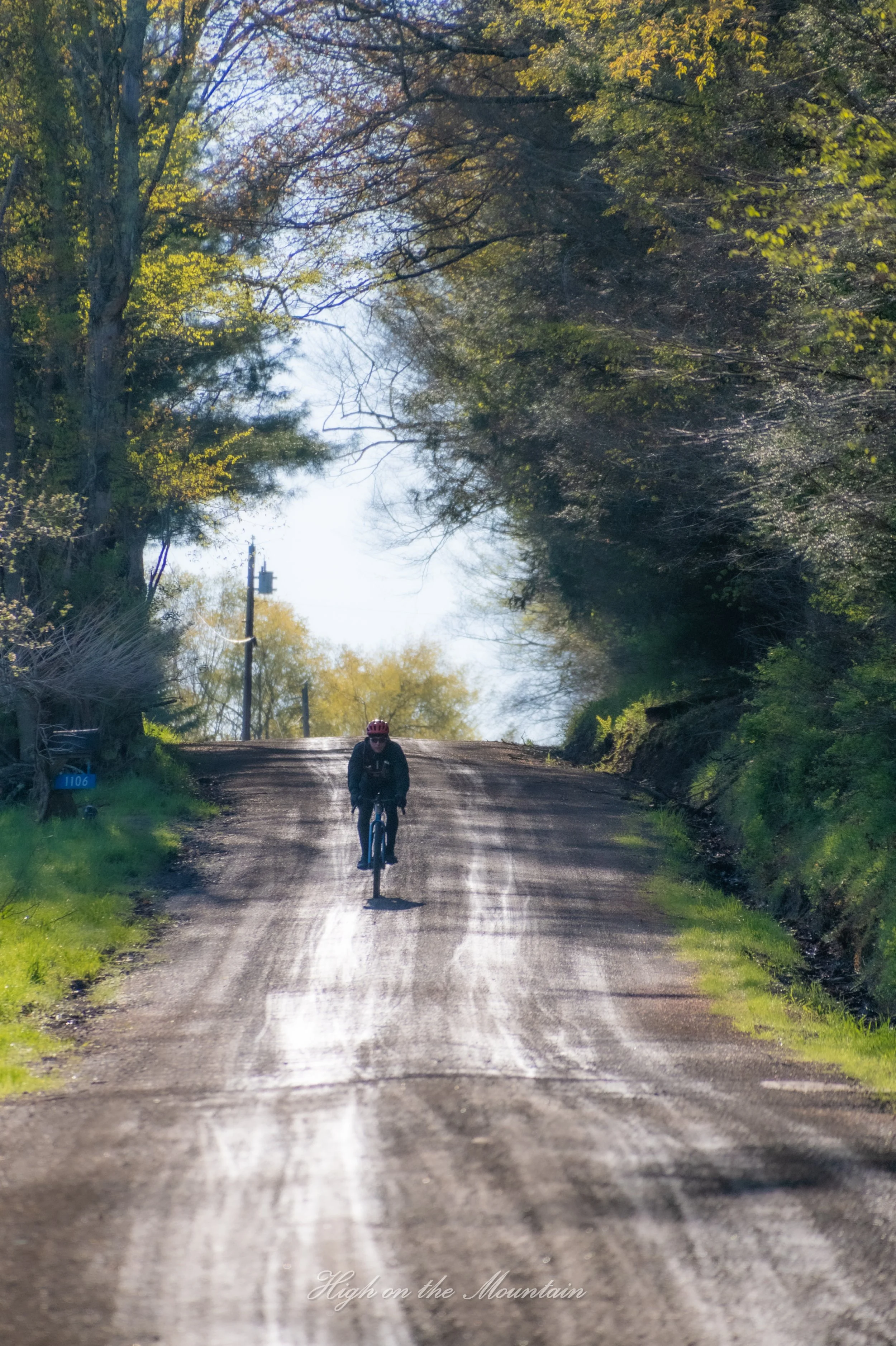 A person riding a bicycle on a dirt road surrounded by green trees with some yellow leaves, with sunlight filtering through the branches. The scene is peaceful and scenic, capturing a moment of outdoor activity during autumn.