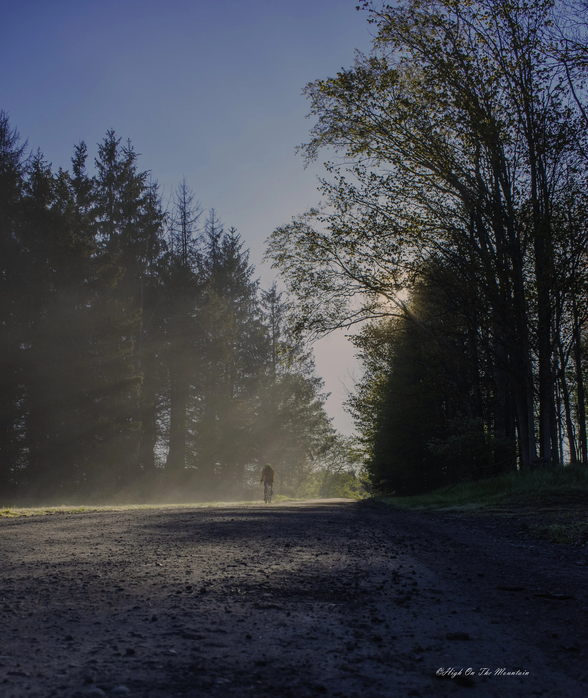 A person riding a bicycle on a dirt path through a forest during dawn or dusk, with sunlight filtering through trees and a misty atmosphere.