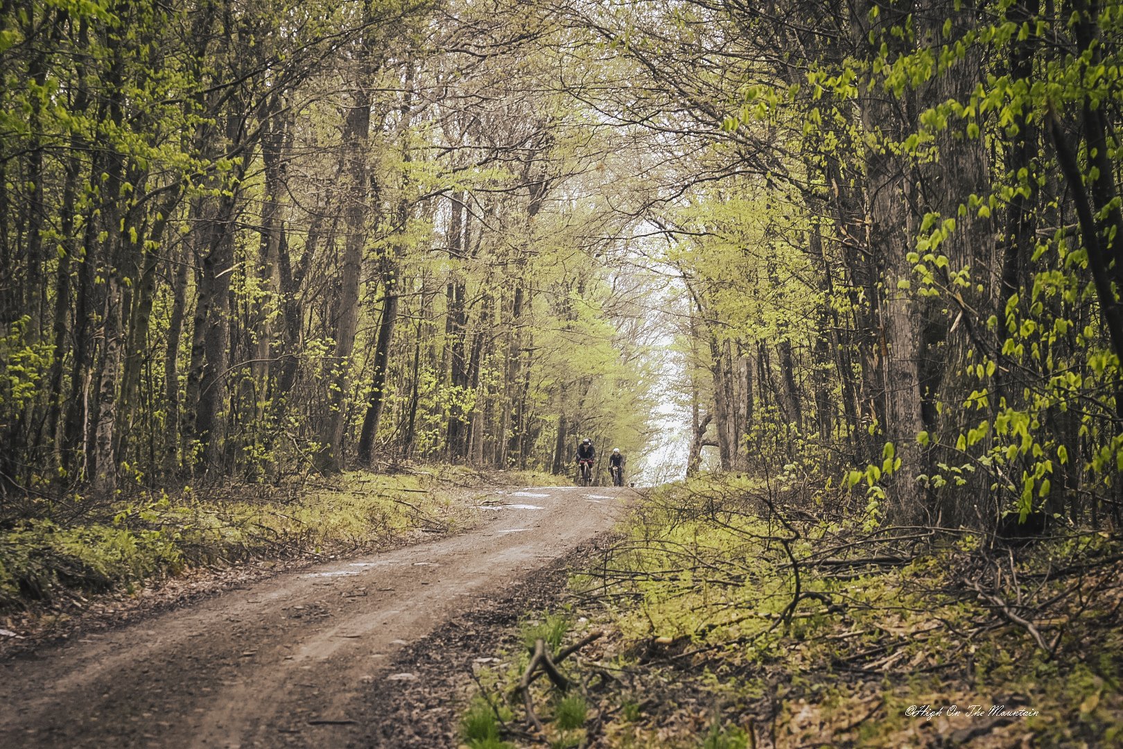 A dirt trail runs through a forest with tall, leafed trees on both sides. Two cyclists are riding on the trail in the distance, with green leaves and branches overhead.
