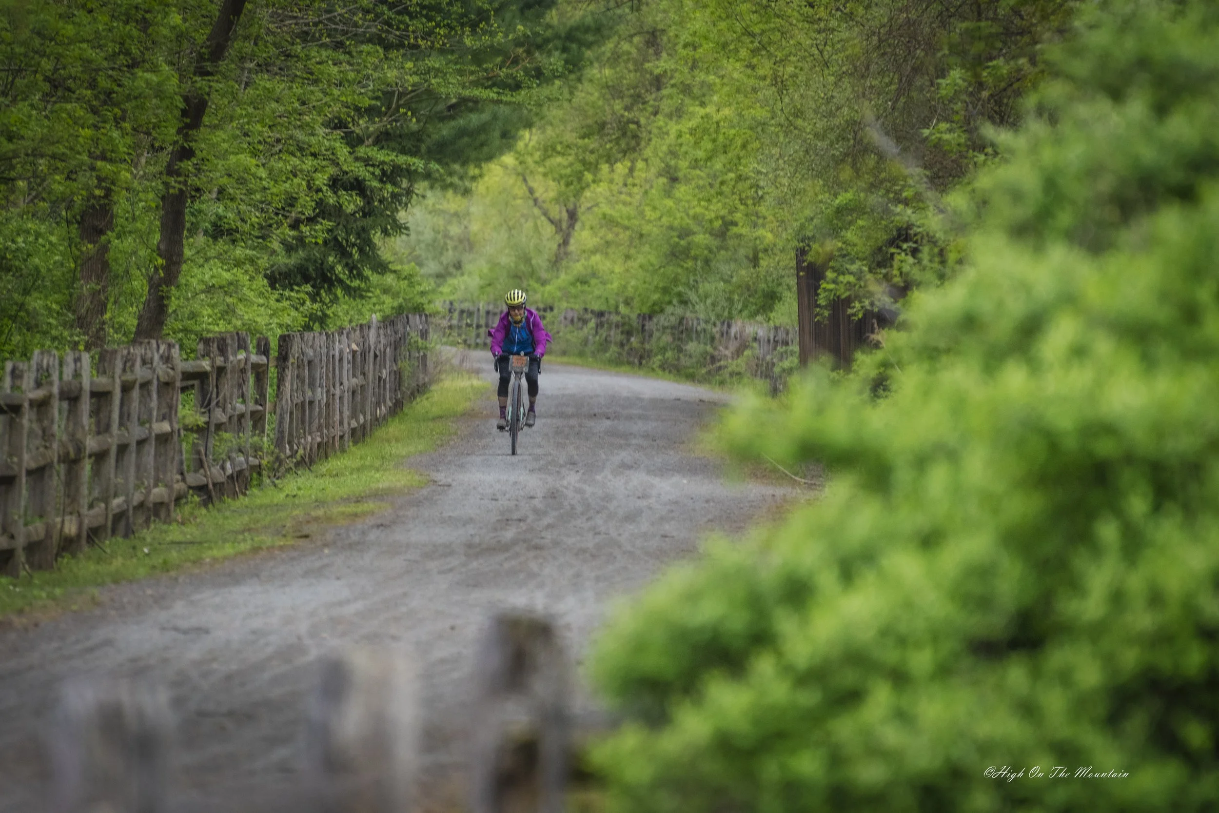 A person riding a bicycle on a gravel path surrounded by lush green trees and foliage.