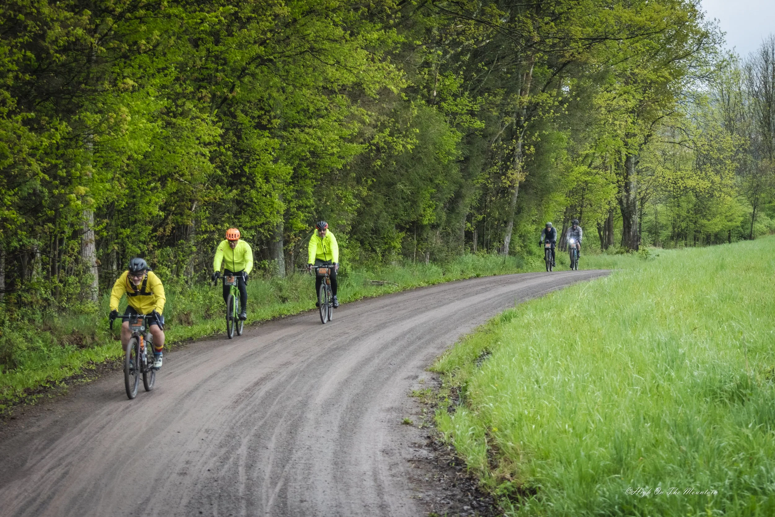 A group of five cyclists wearing bright yellow and black jackets, helmets, and sunglasses riding on a dirt trail through a lush green forest with dense trees and grass on each side.