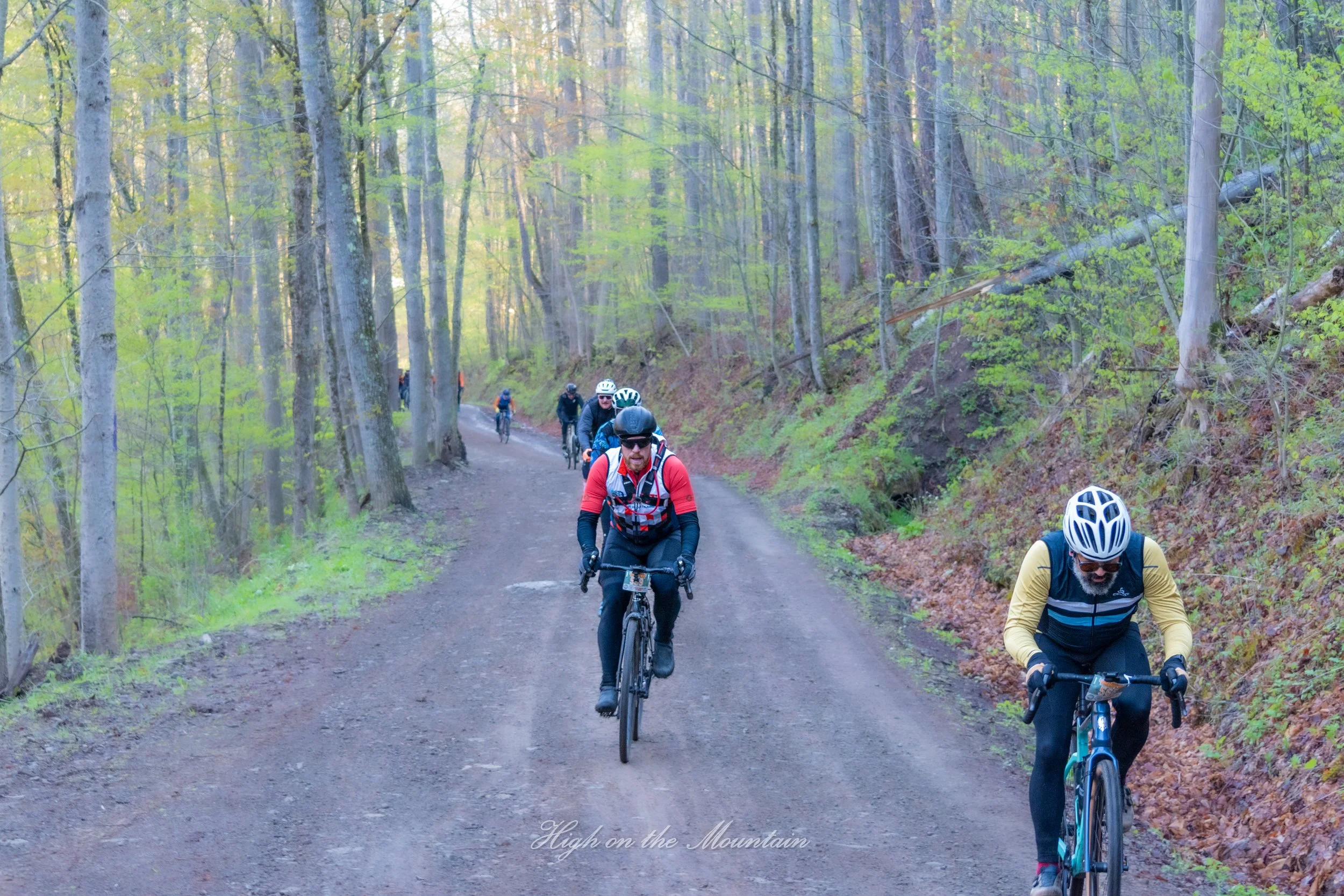 Group of people riding mountain bikes on a dirt trail through a forest with tall trees and green leaves.