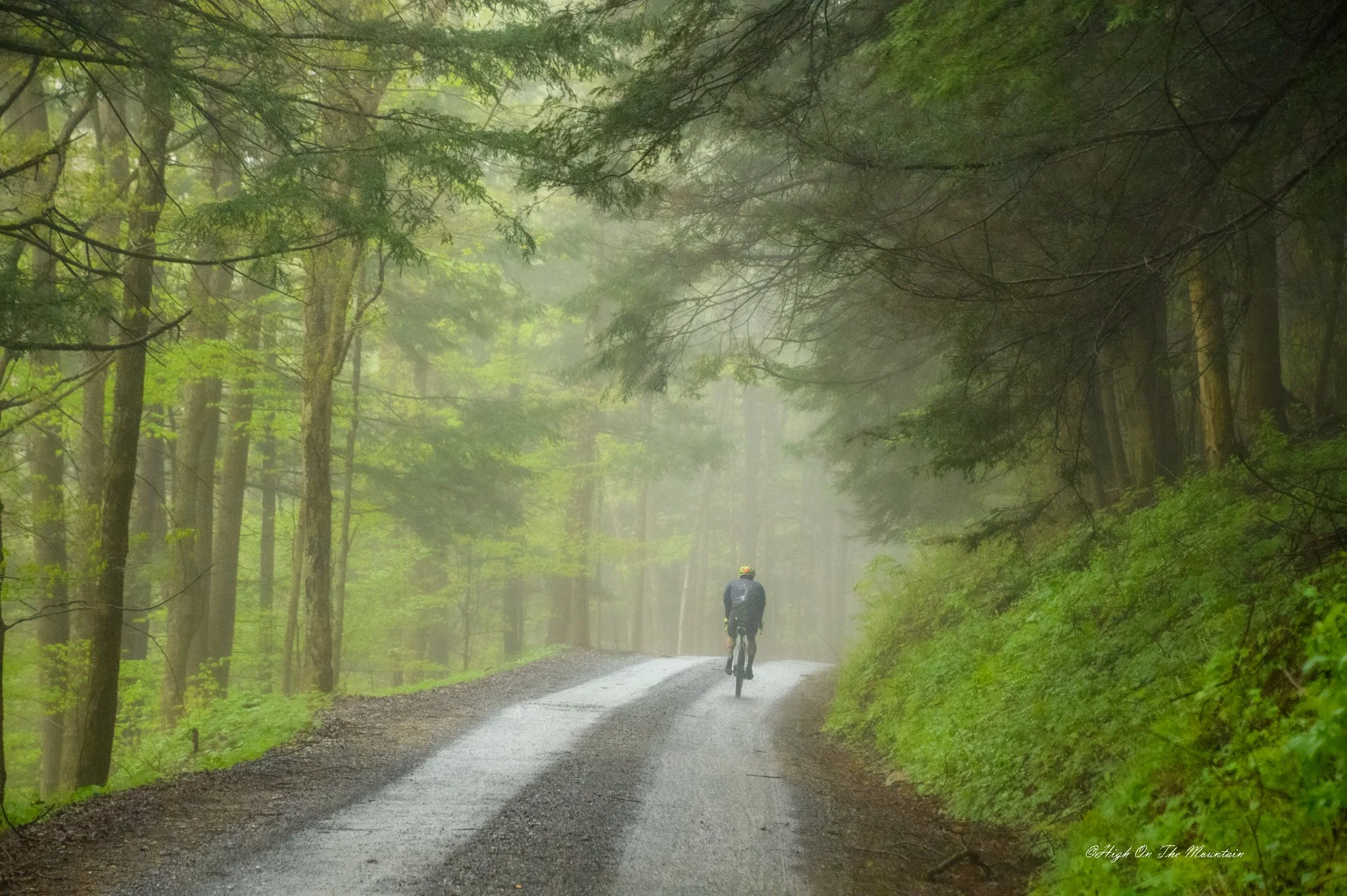 A person riding a bicycle down a forest trail surrounded by tall green trees and misty atmosphere.