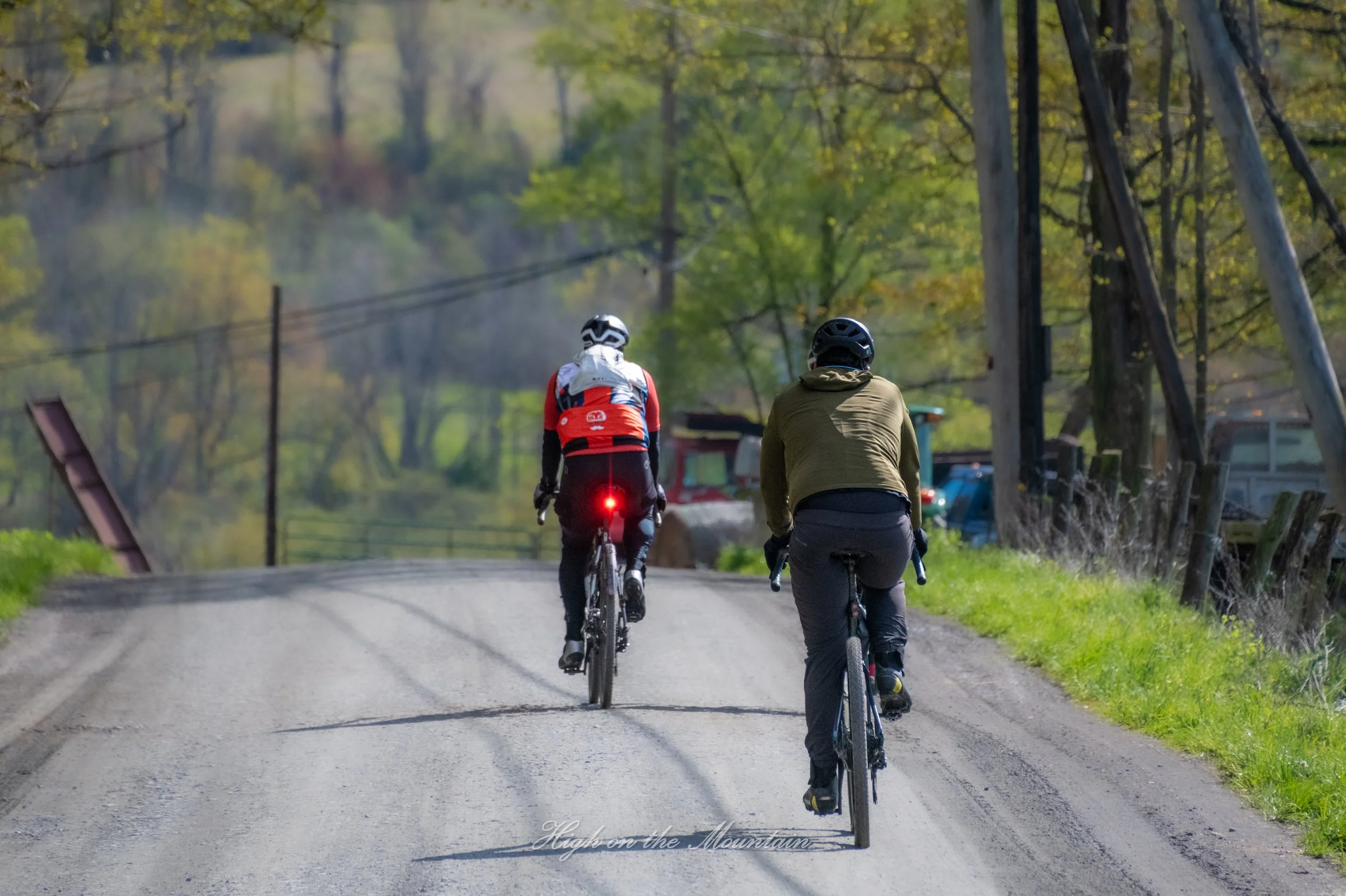 Two cyclists biking on a rural road surrounded by trees with autumn foliage, seen from behind.