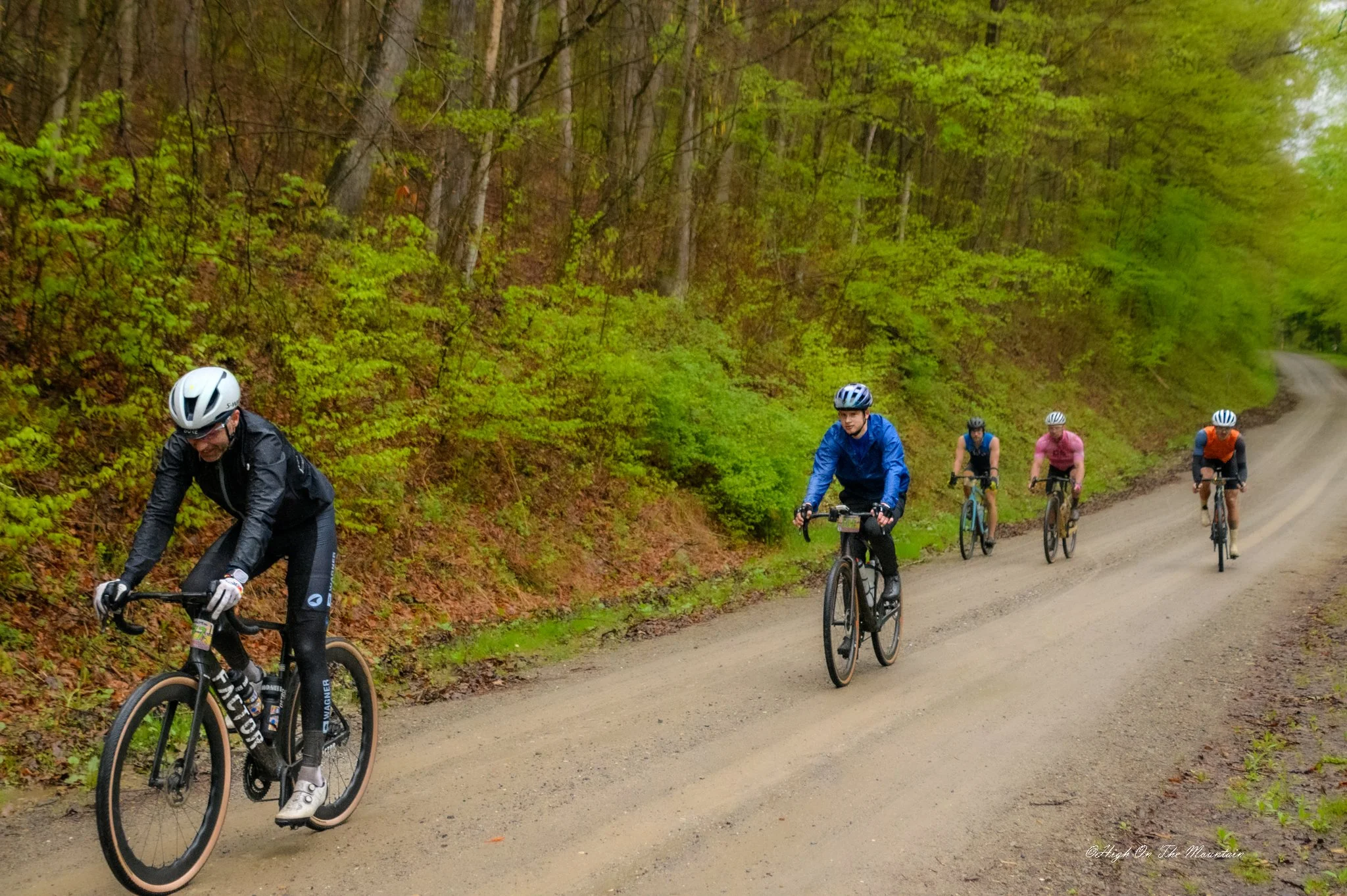 A group of five cyclists riding mountain bikes along a dirt trail through a green forest.