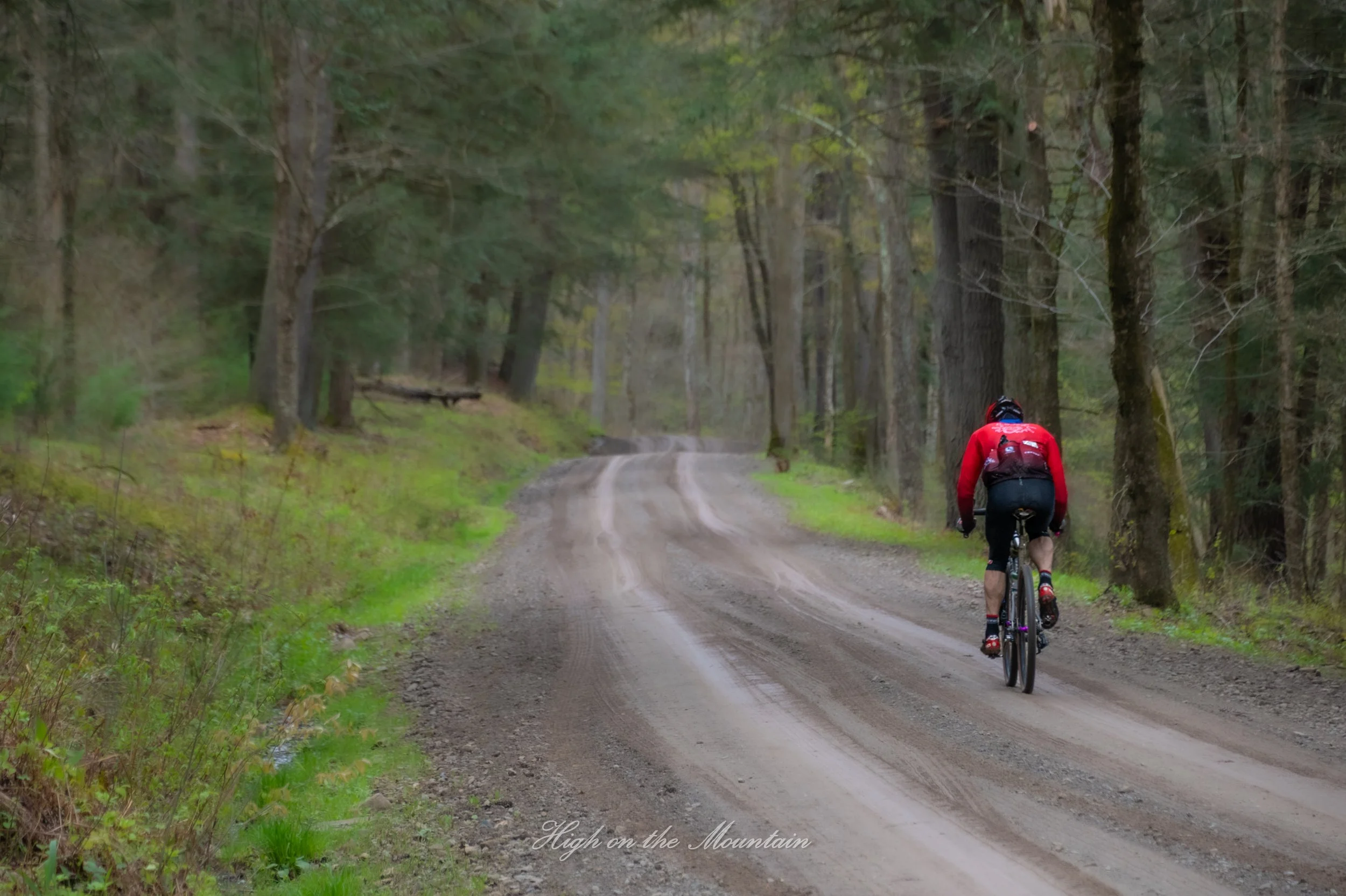 A person riding a mountain bike along a dirt trail through a dense, green forest with tall trees on either side, and the text "High on the Mountain" at the bottom.