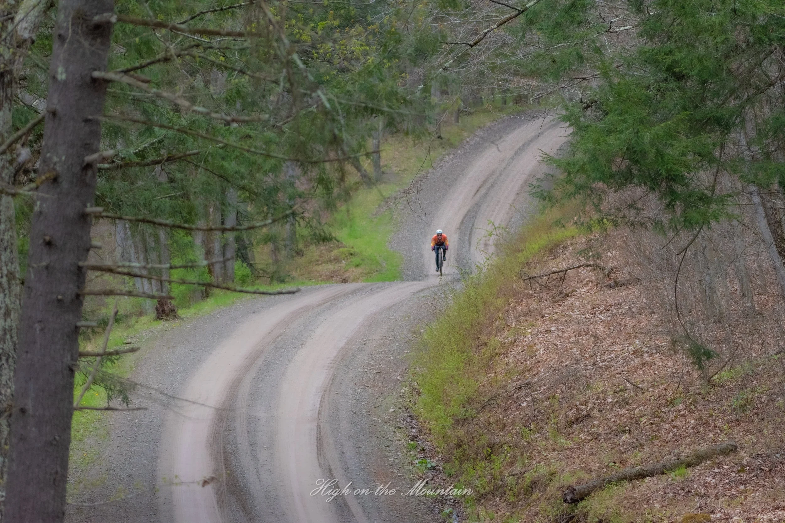 A person riding a bicycle on a winding dirt mountain road surrounded by trees.