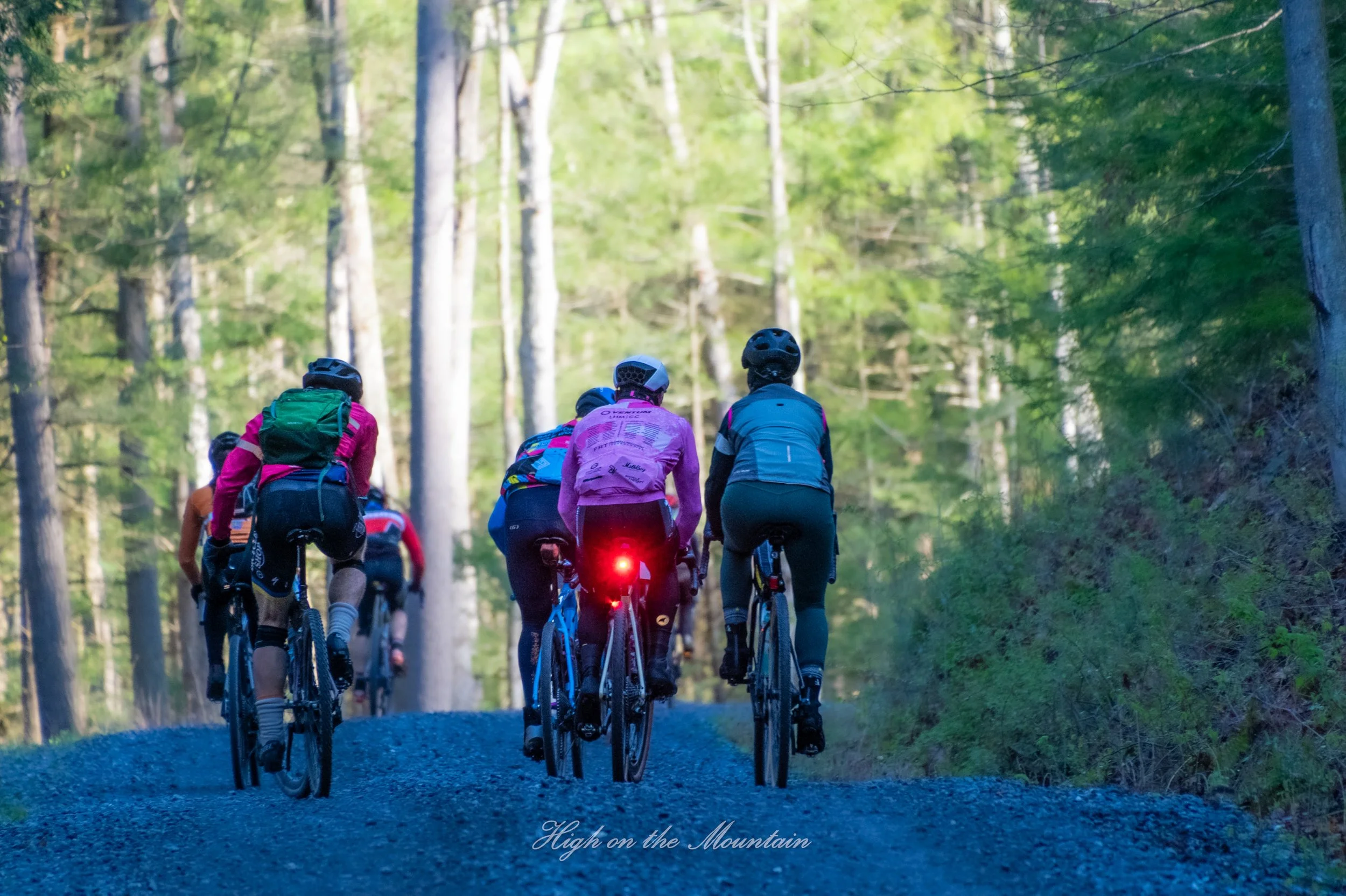 A group of cyclists riding mountain bikes on a forest trail during daytime, surrounded by tall trees with green leaves.