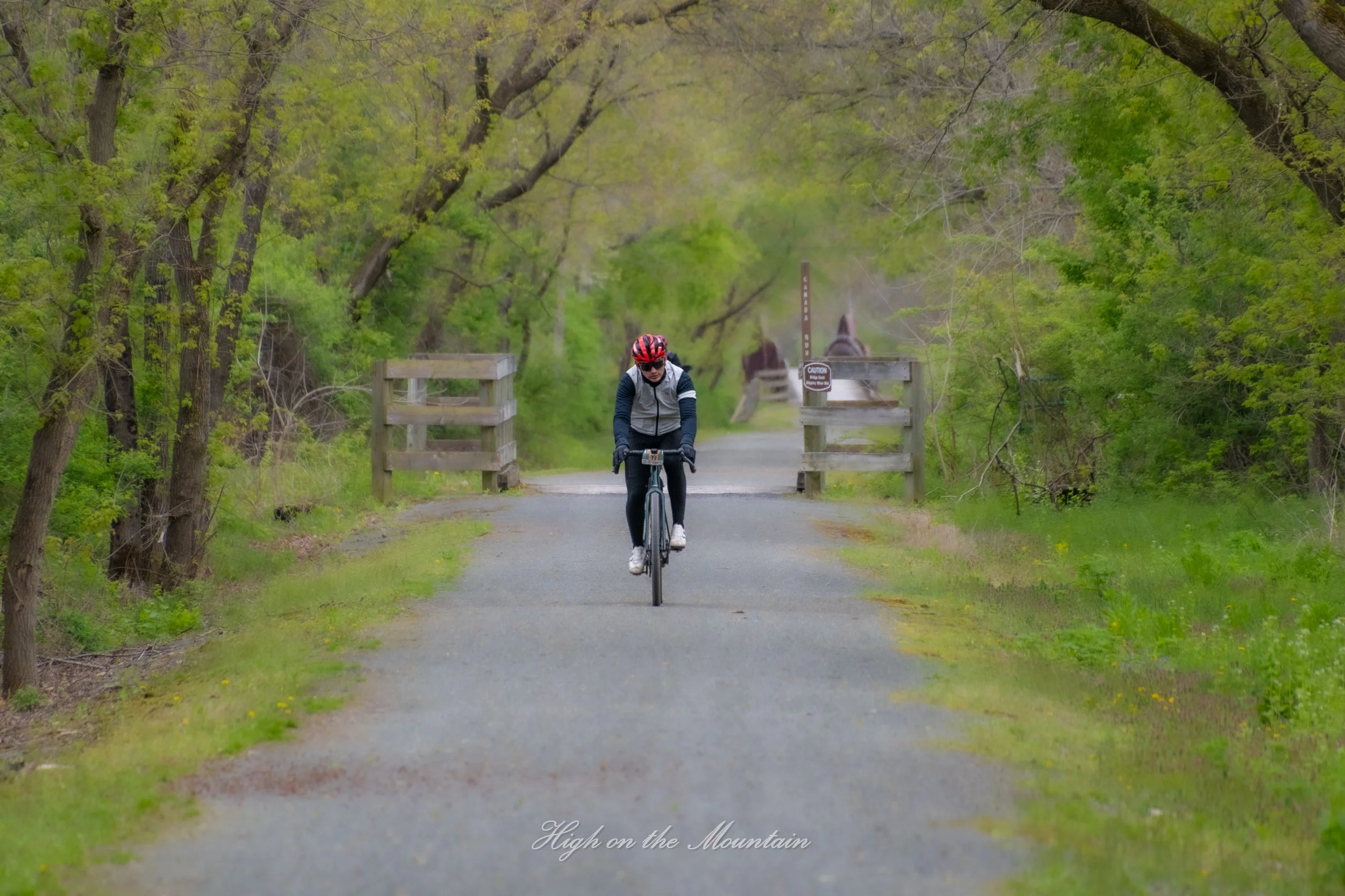 A person cycling on a wooded trail with trees and green foliage on both sides.