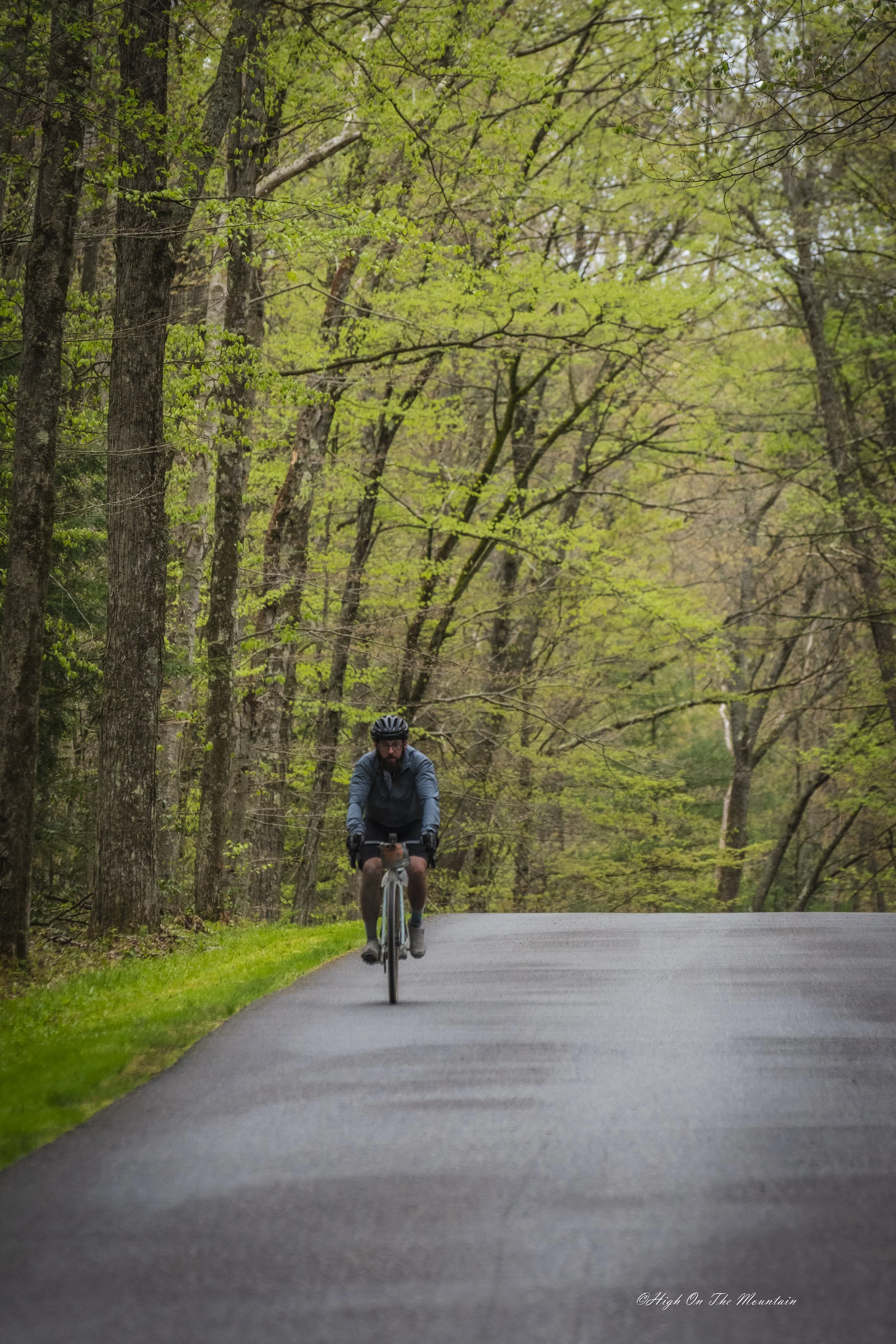 A man riding a bicycle on a paved trail through a lush, green forest with tall trees and dense foliage.
