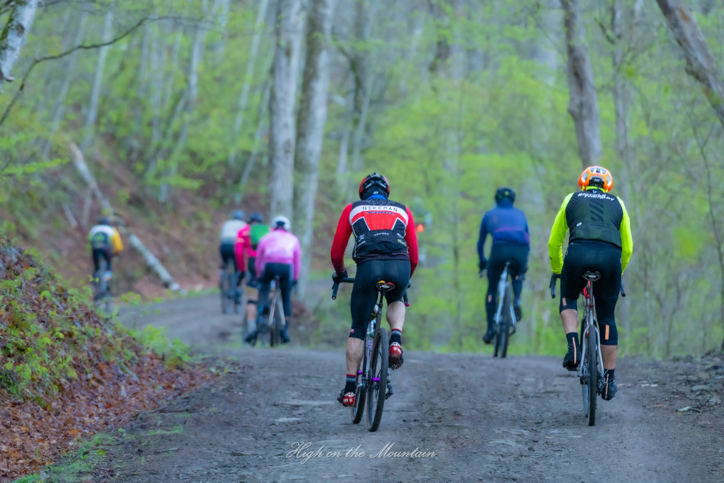 Group of people mountain biking on a forest trail surrounded by tall green trees.