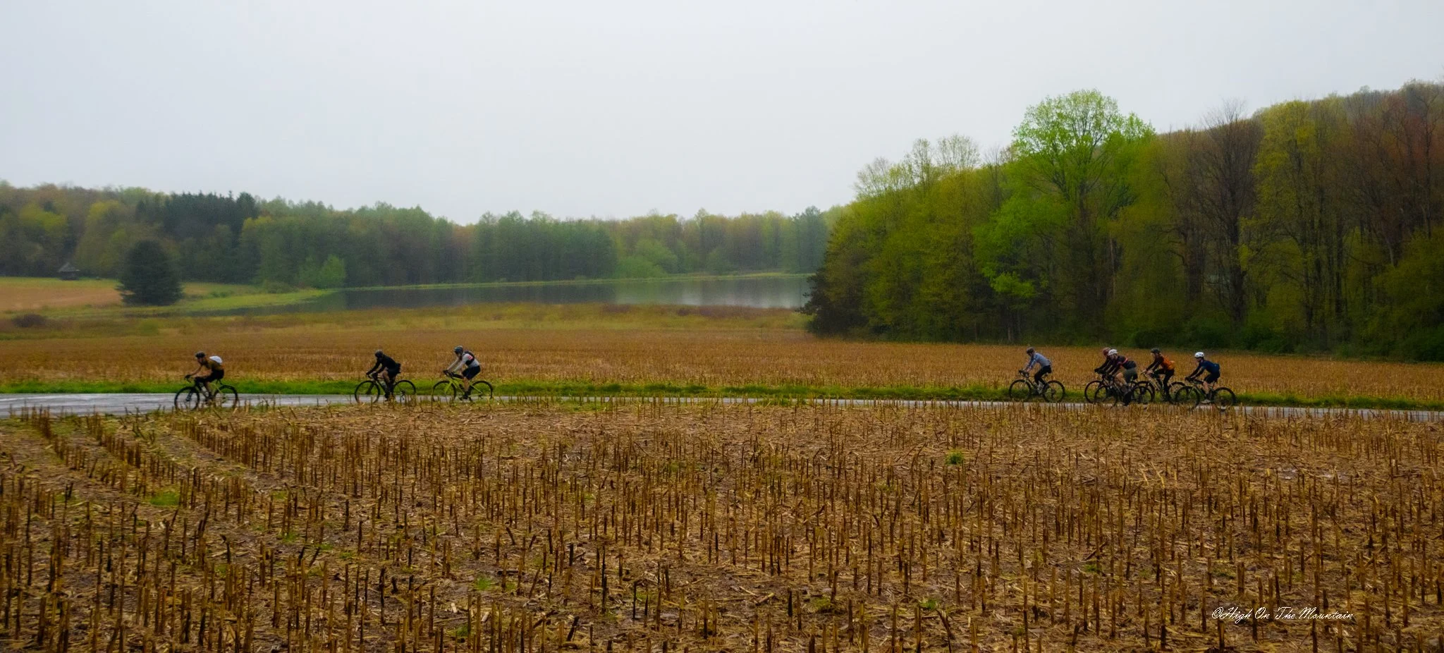 Group of six cyclists riding along a wet, rural country road through harvested farmland, with a lake and green trees in the background on an overcast day.