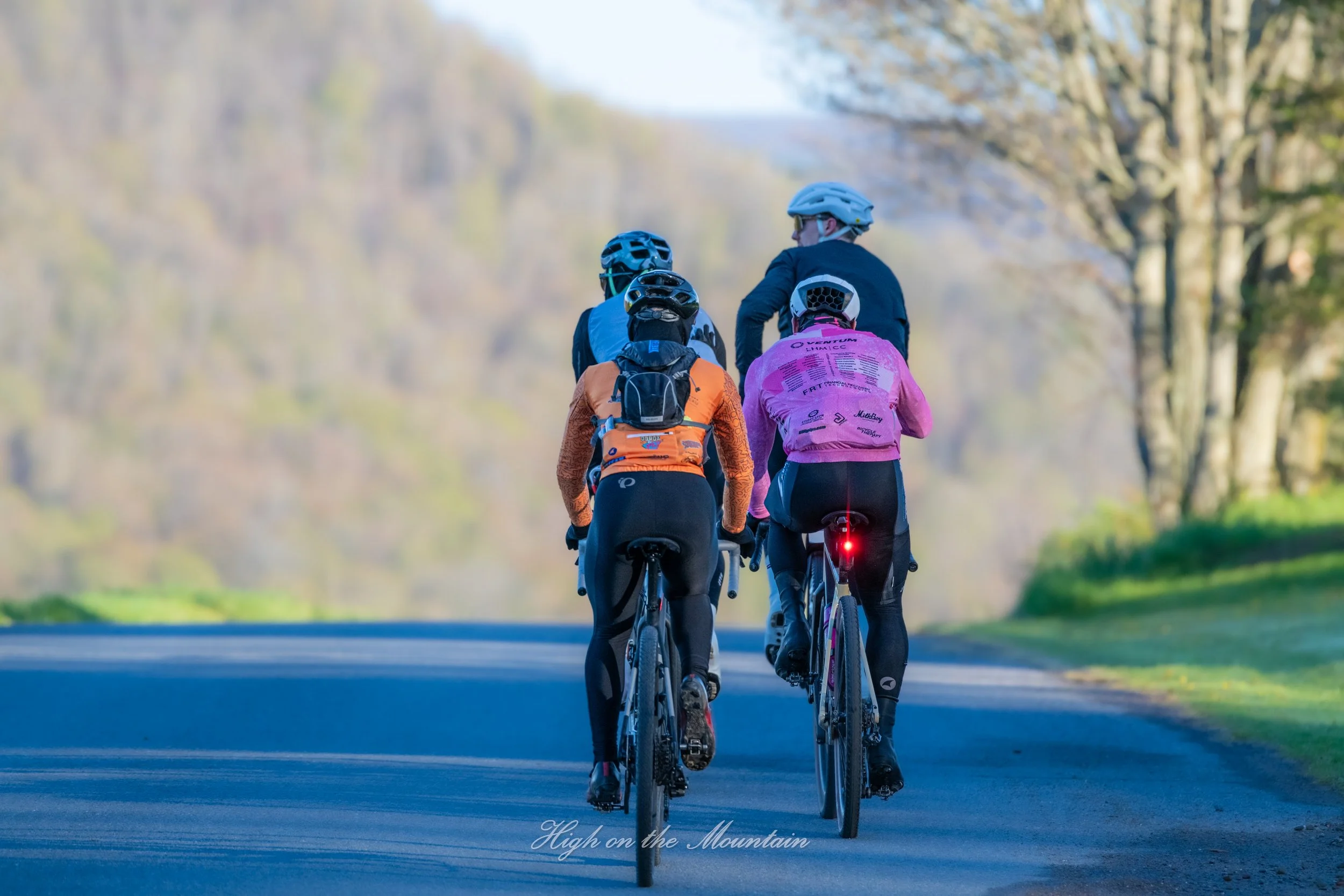 Four cyclists riding their bikes on a paved road through a scenic area with trees and mountains in the background, during daytime.