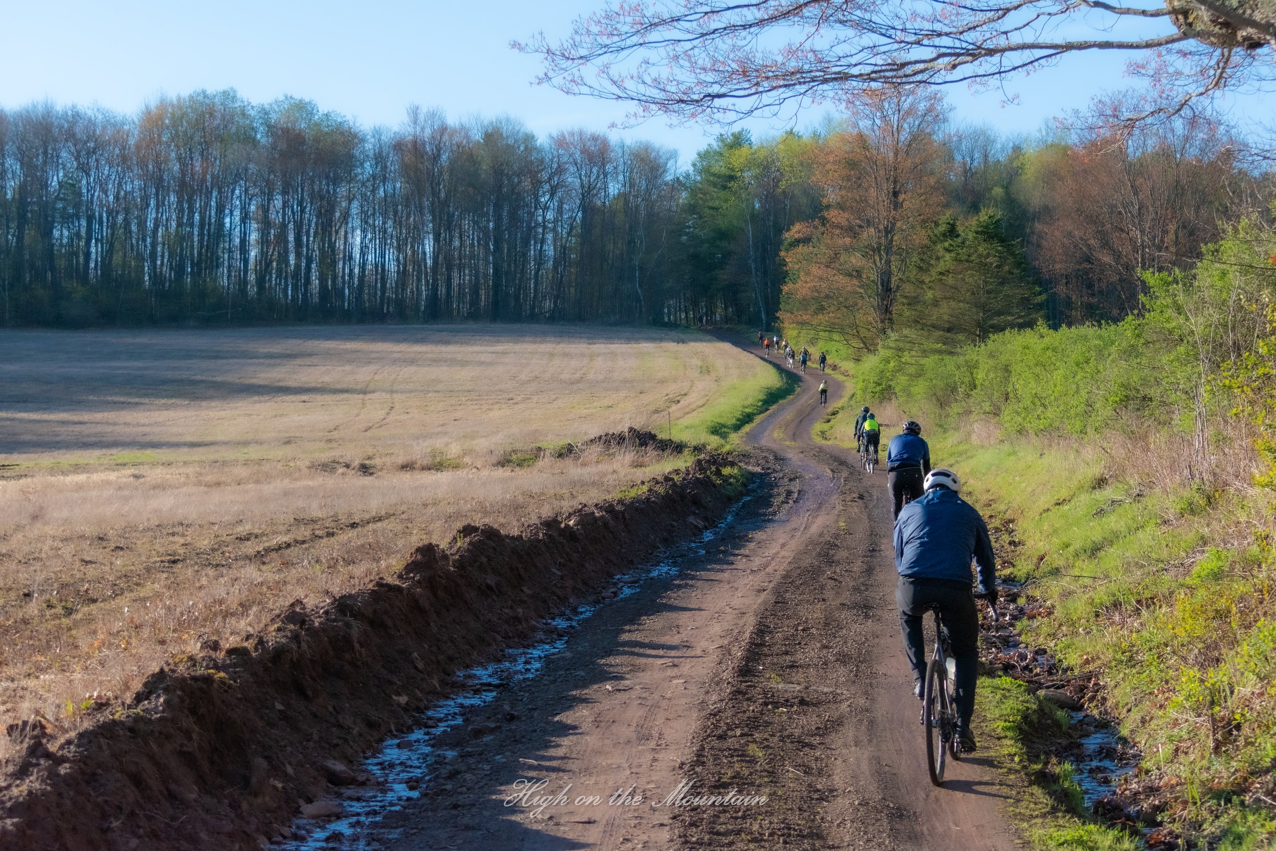 Bikers riding mountain bikes on a dirt trail through a wooded area during daytime.