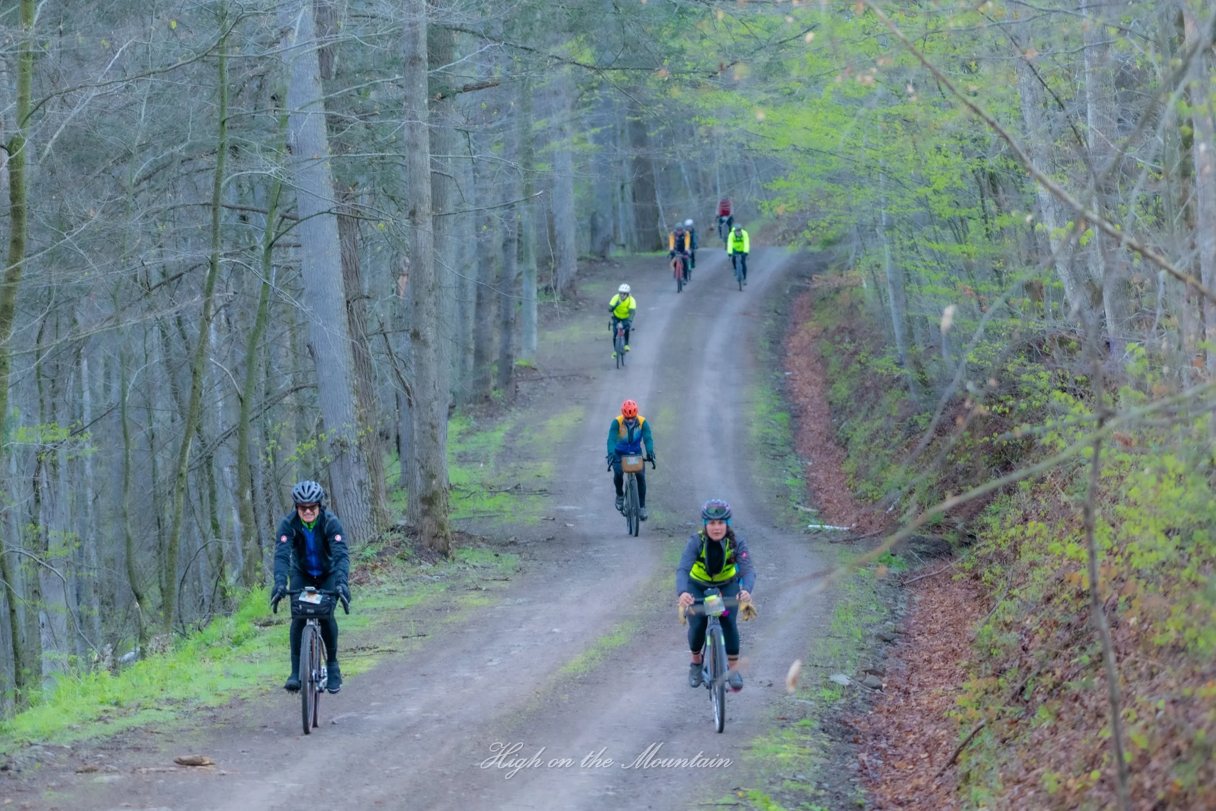 Group of people biking on a dirt trail through a forest with trees and green leaves.
