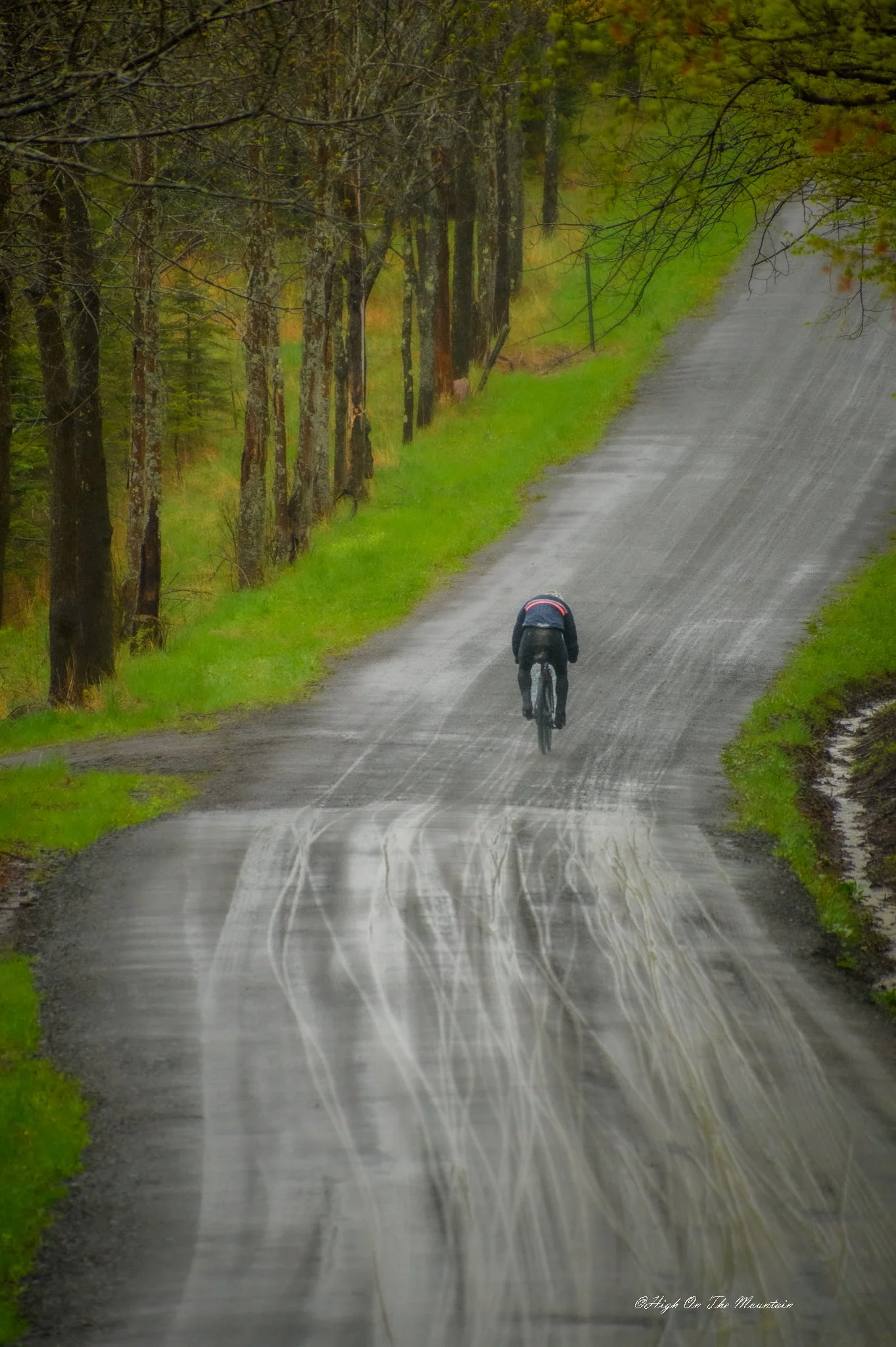 A person riding a bicycle on a wet, rural dirt road surrounded by green grass and trees during rainy weather.