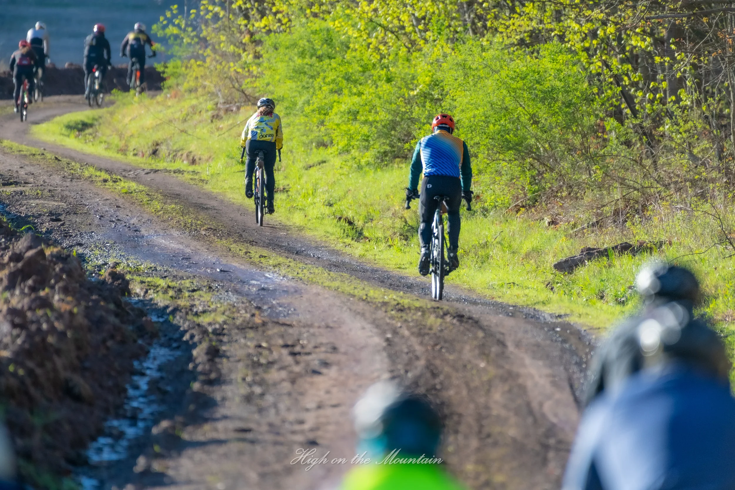 A group of mountain bikers riding on a dirt trail through lush green trees, seen from behind through a bicycle's handlebar.