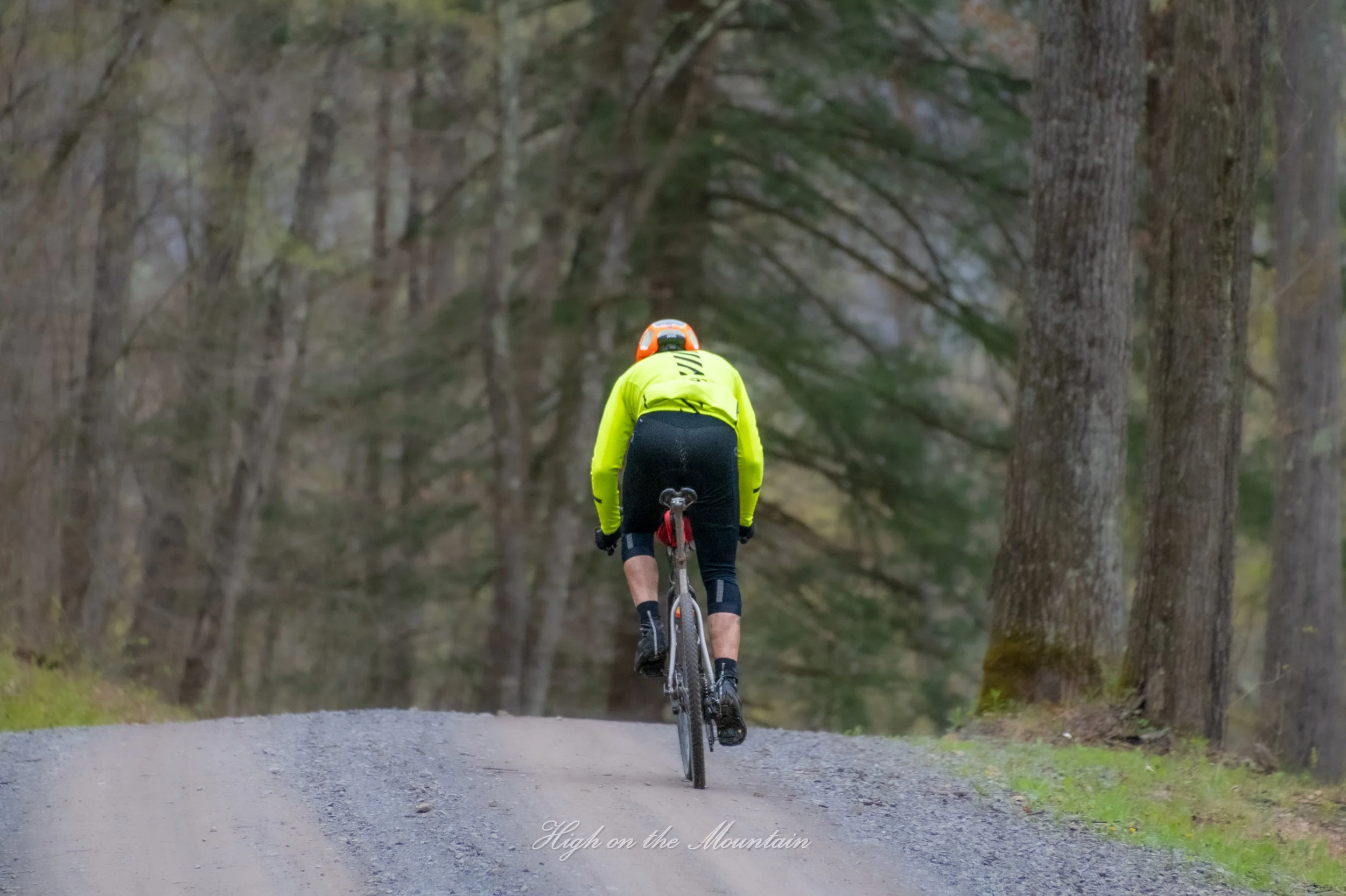 A cyclist wearing a yellow jacket and black shorts riding a mountain bike on a gravel trail surrounded by trees, with a canopy of branches overhead.