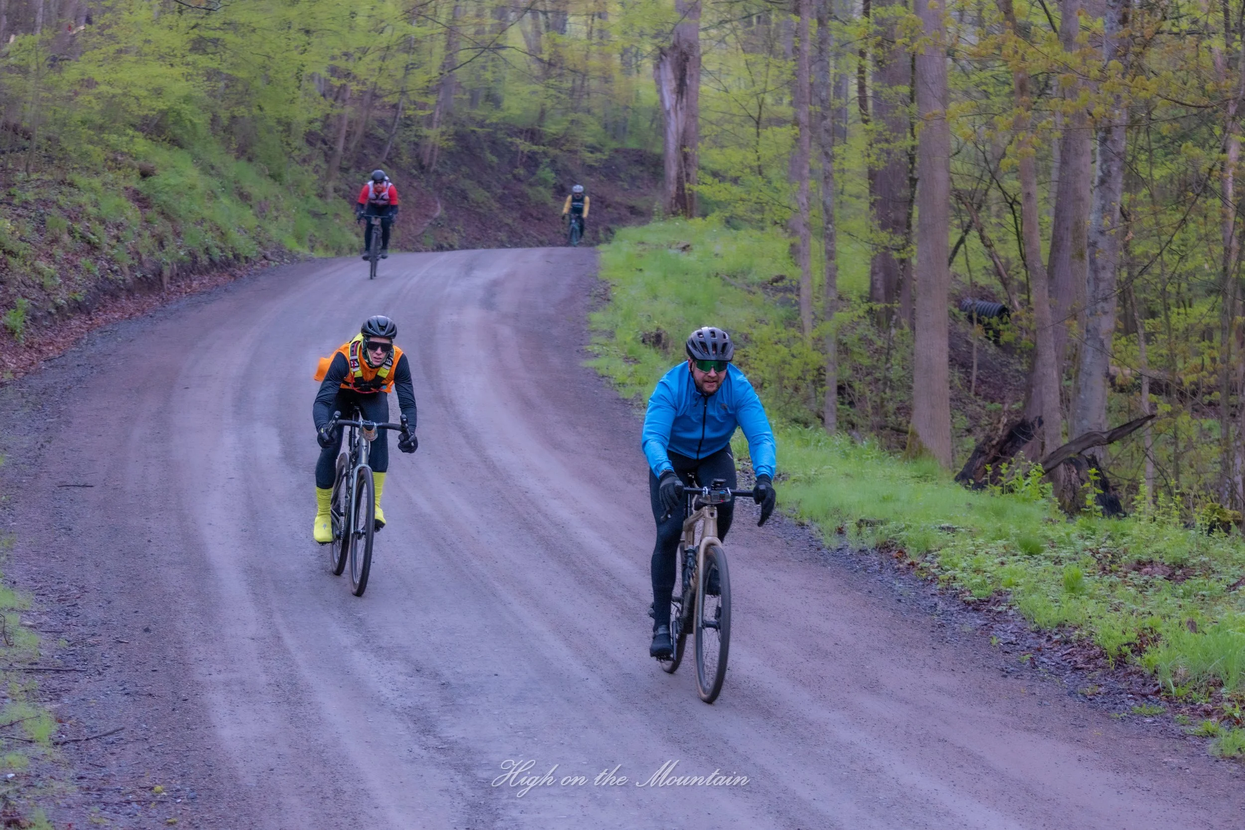 Four cyclists riding on a dirt trail through a forested mountain area with green trees and grass.