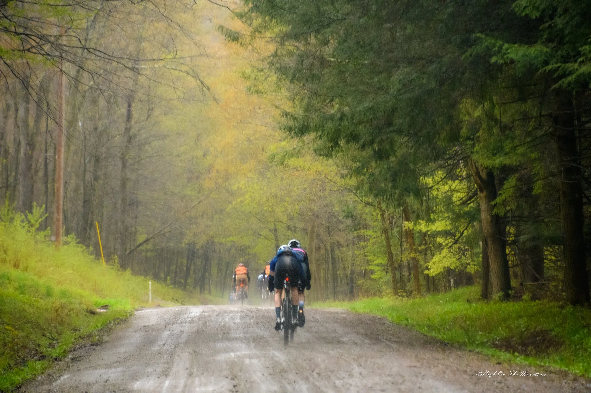 A group of cyclists riding on a dirt trail through a lush green, wooded forest with tall trees on both sides, during a foggy day.