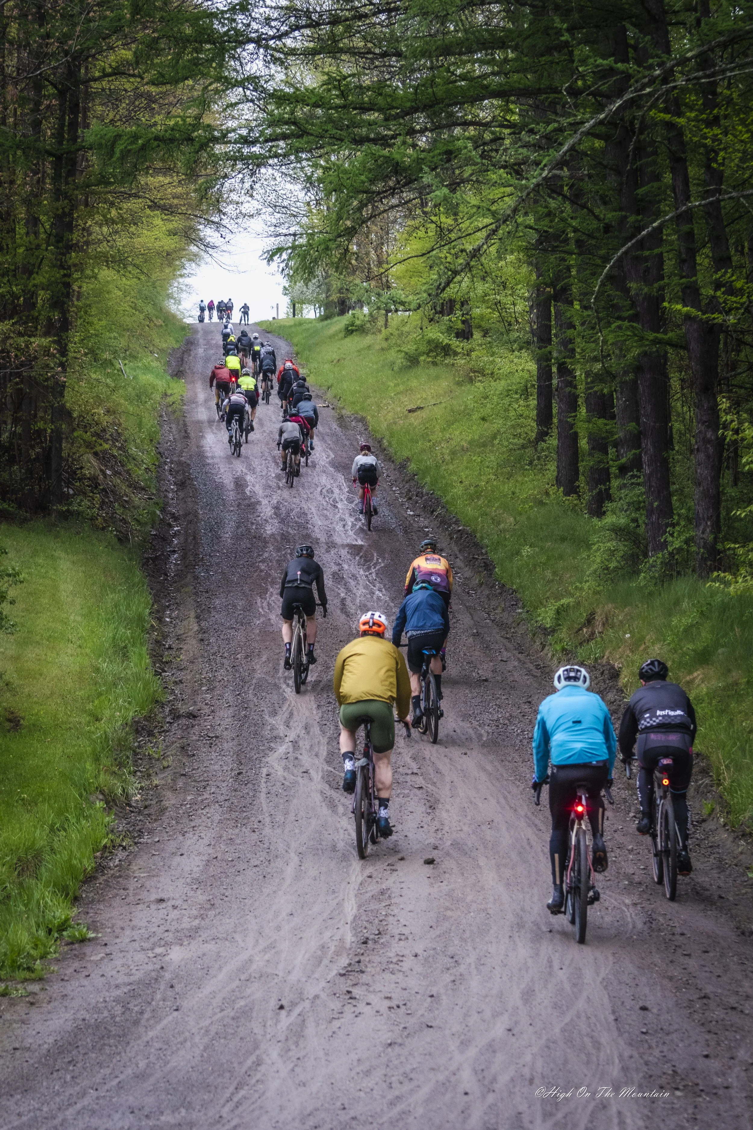 A group of cyclists riding on a muddy trail through a lush green forest with overhanging trees.