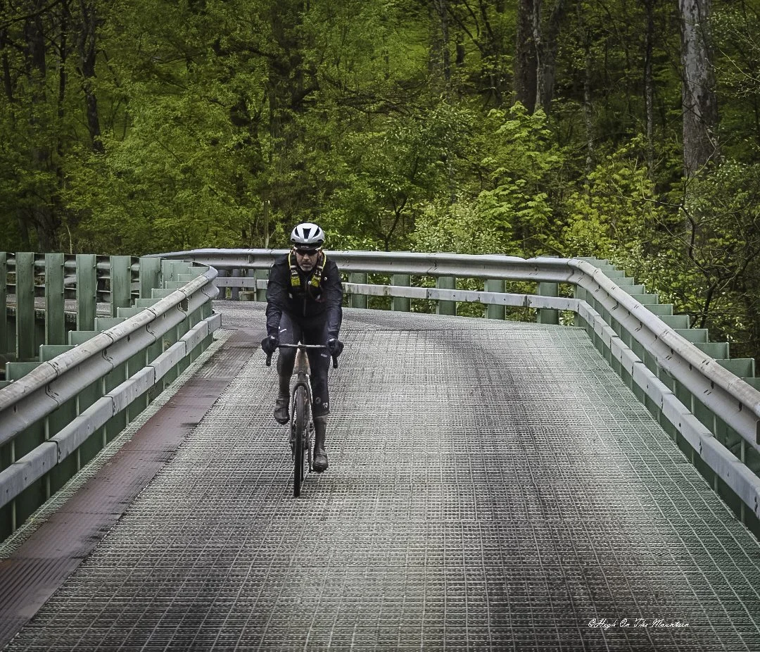 A person riding a bicycle on a metal bridge surrounded by green trees.