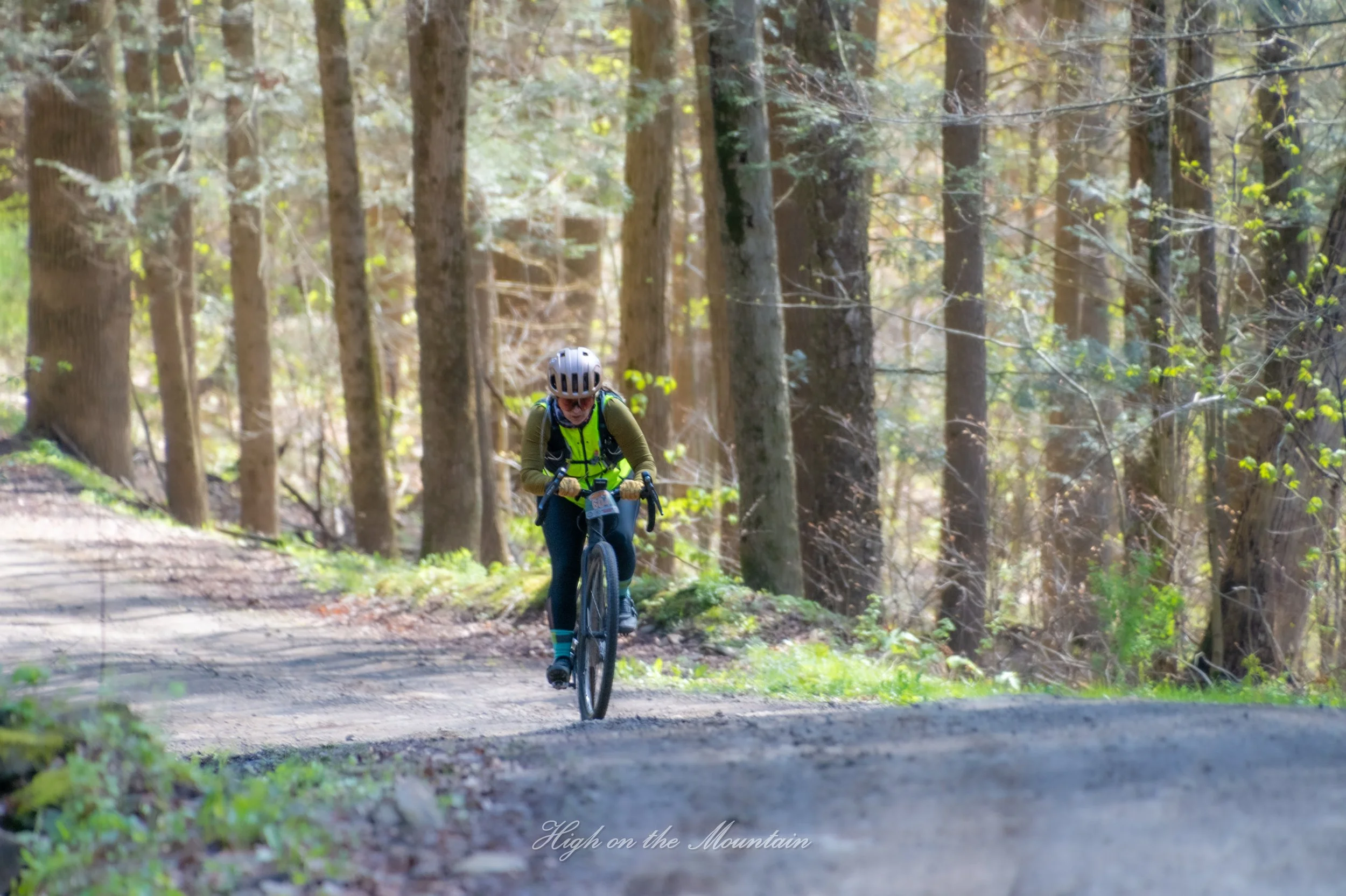 A person riding a mountain bike on a forest trail surrounded by trees and greenery.