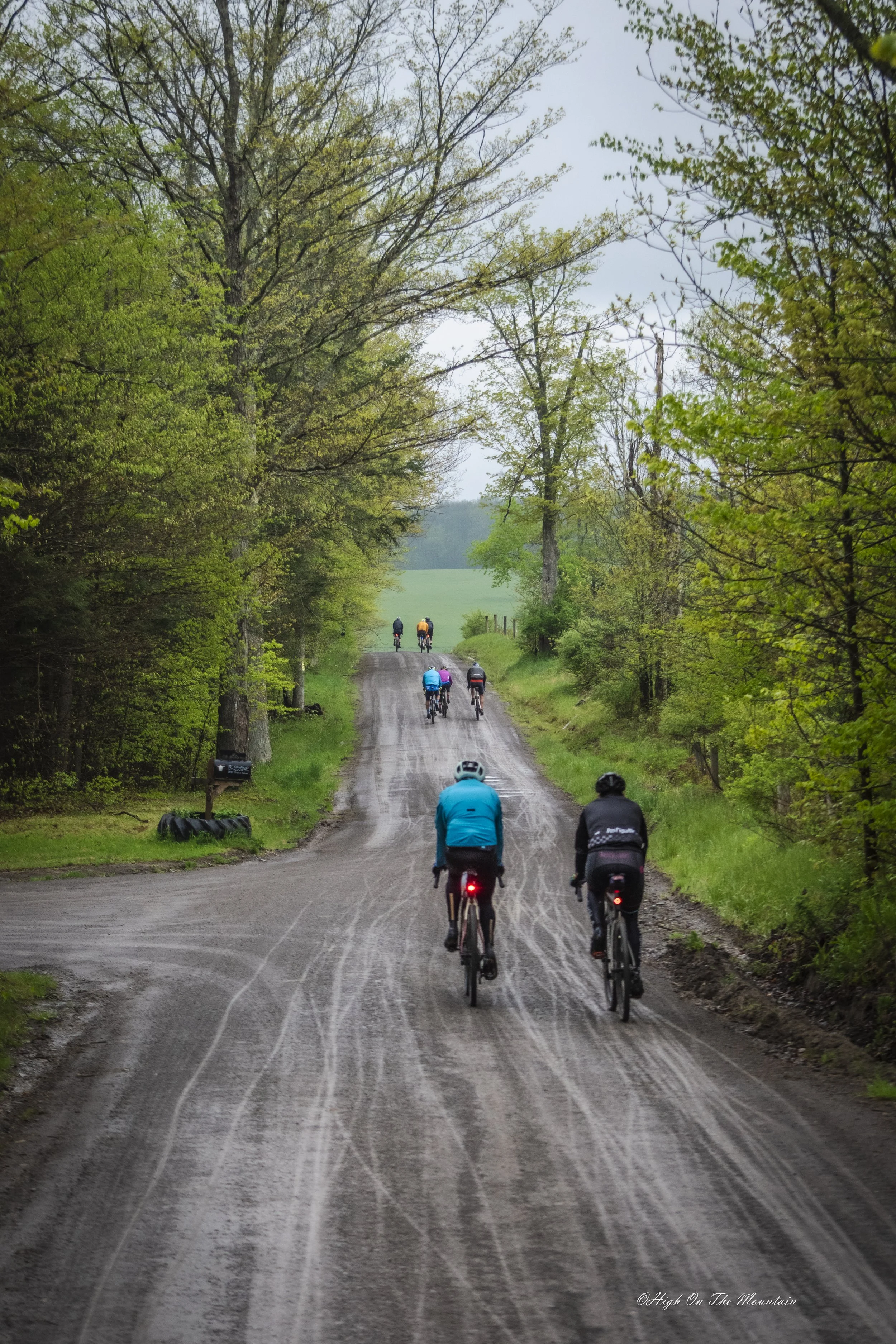 Bicyclists riding on a dirt path through a lush, green, wooded area.