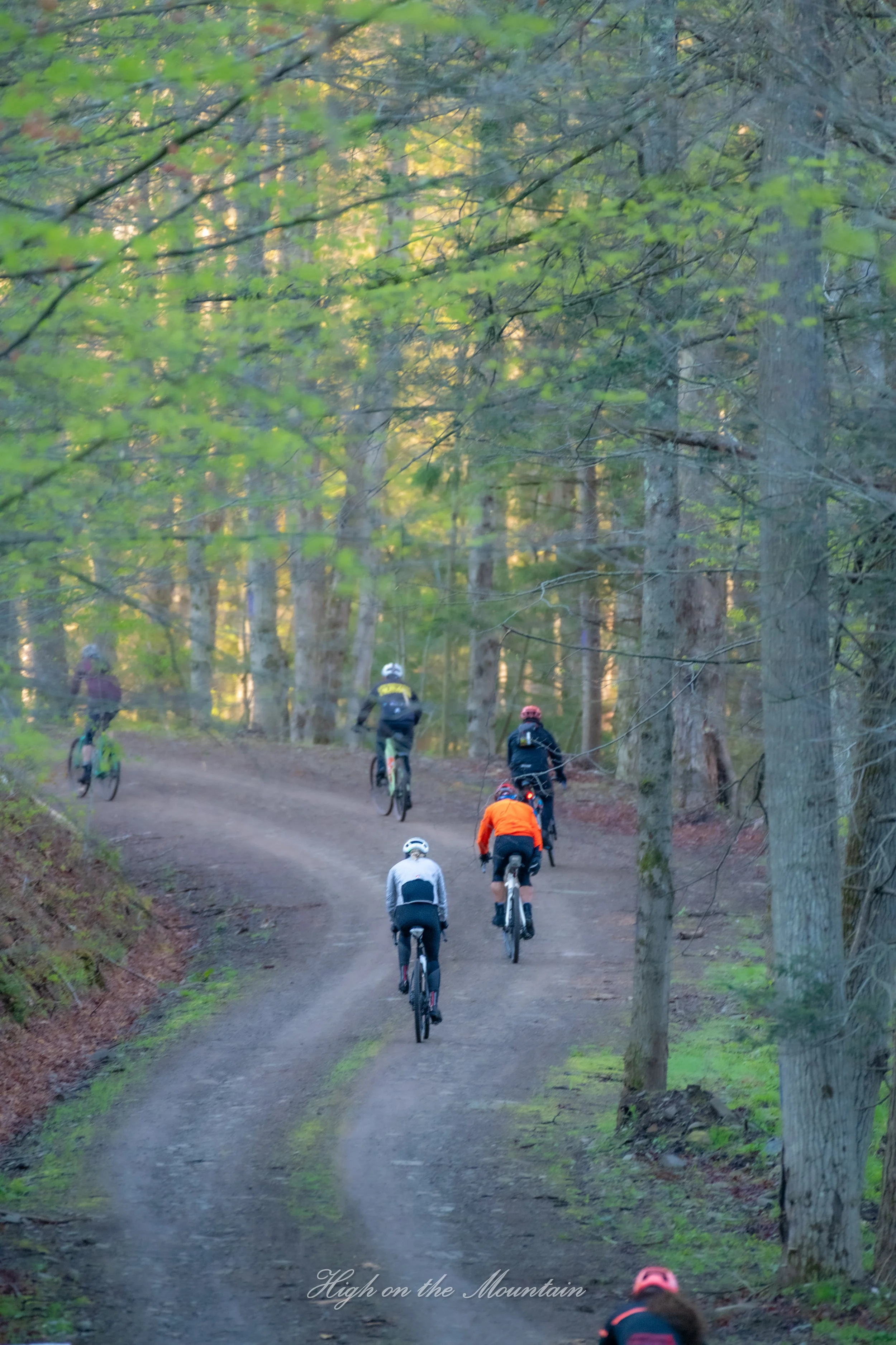 Group of mountain bikers riding on a dirt trail through a forest with tall trees and green leaves, with sunlight filtering through. The phrase 'High on the Mountain' is visible at the bottom.