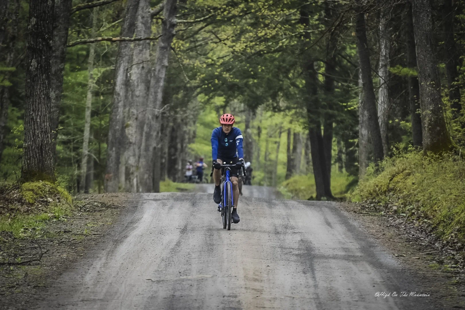 A cyclist wearing a blue jacket and red helmet riding a bike on a forest dirt road surrounded by tall trees and greenery.