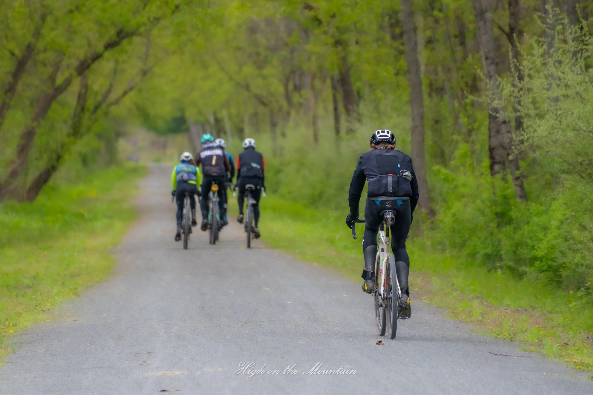 Four cyclists riding on a dirt trail through a green forested area, with trees on both sides of the trail, seen from behind.