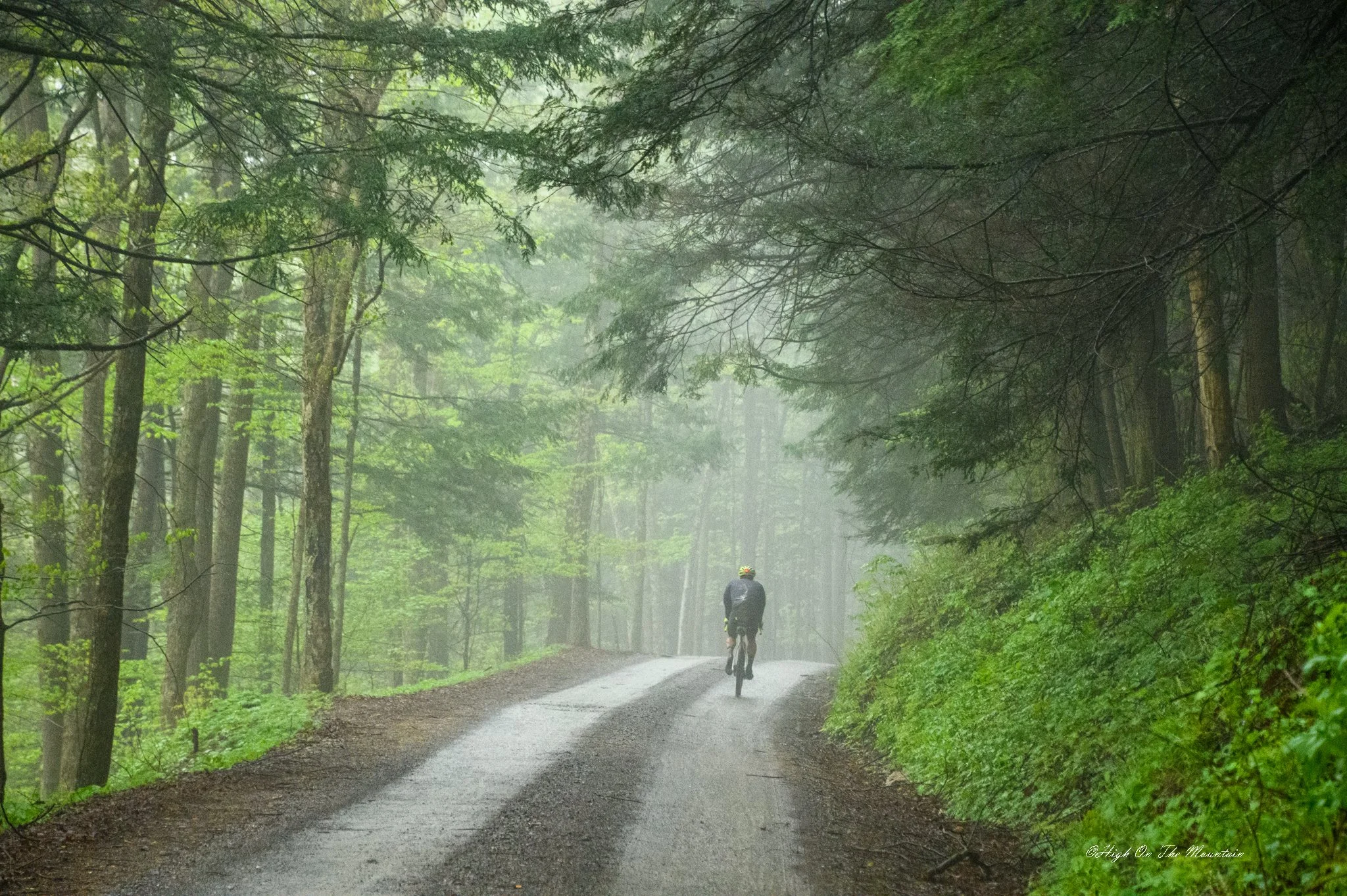 A person riding a bicycle on a foggy forest trail lined with green trees and lush vegetation.