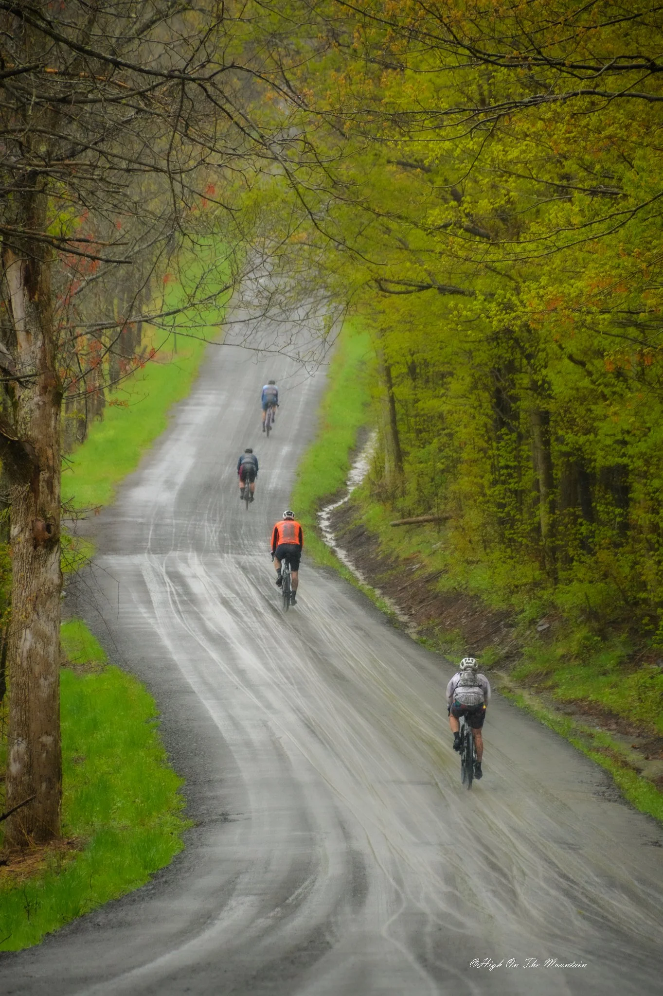Four cyclists riding on a winding, wet gravel road through a green forest on a rainy day.