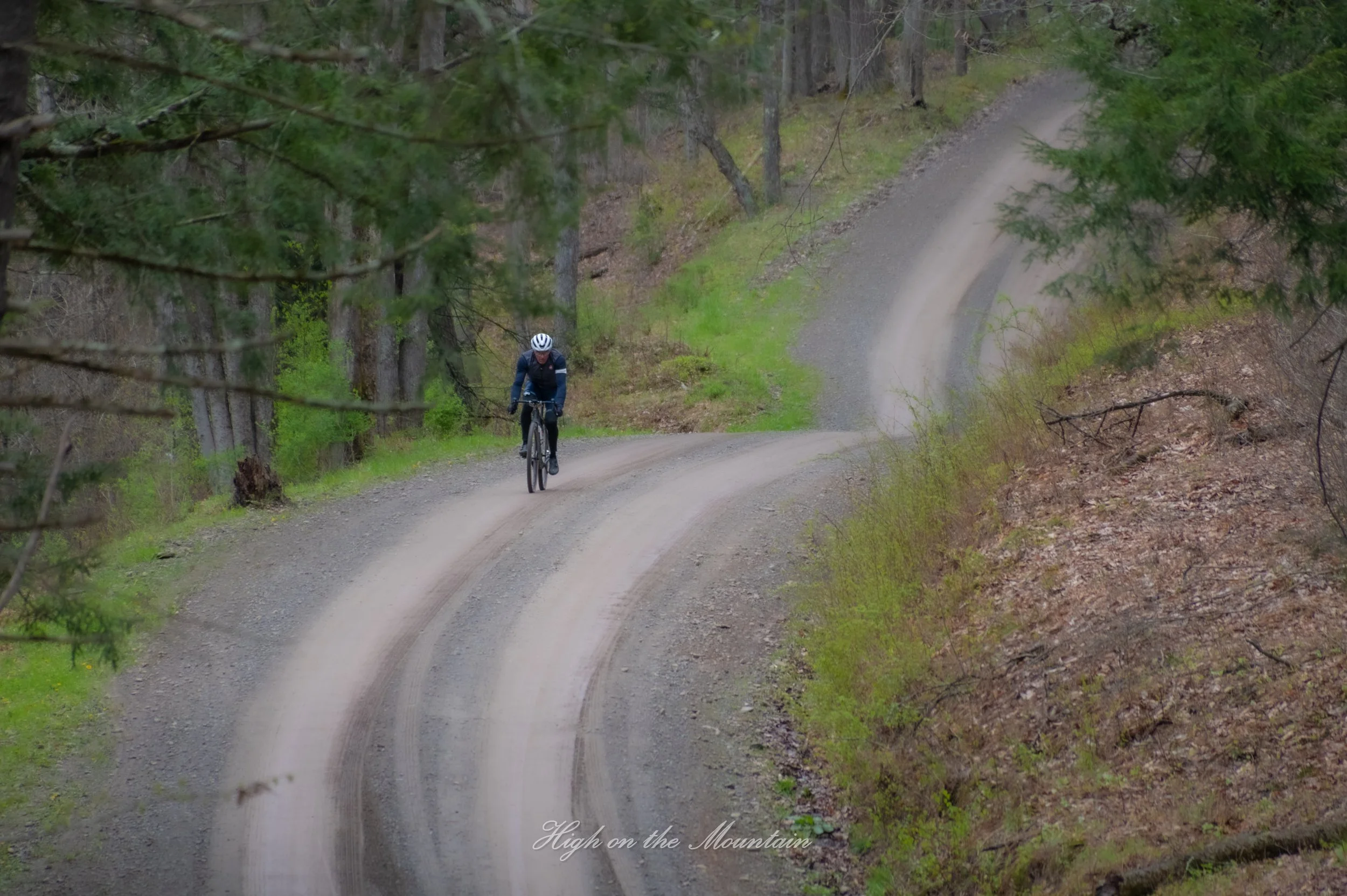 A person riding a mountain bike on a winding dirt trail through a forest of tall green trees.