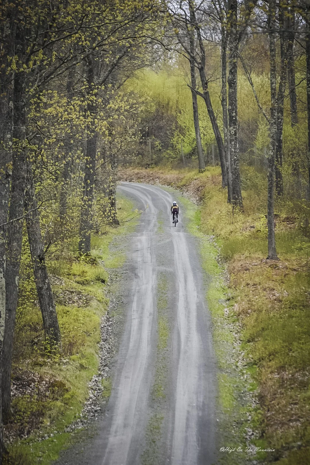 A lone cyclist riding along a winding, dirt trail in a forested area during spring, with green leaves beginning to sprout on the trees.