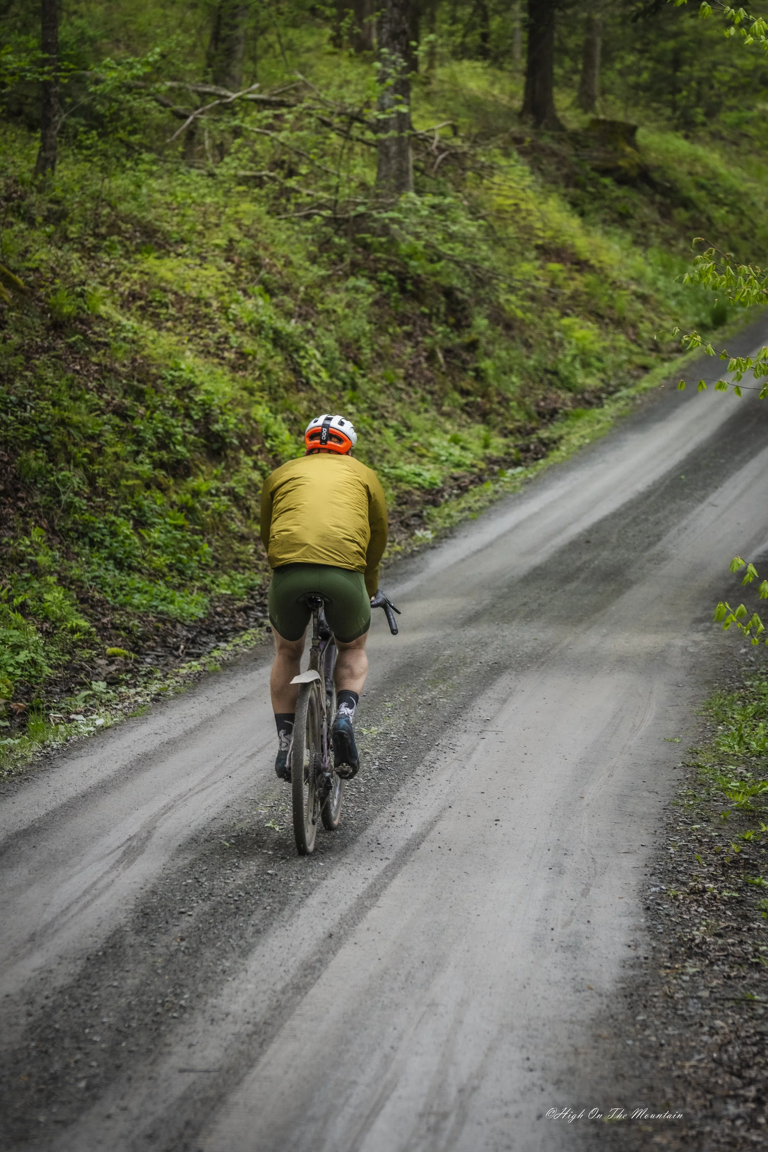 A person cycling on a dirt road in a forested area with lush green trees and vegetation.