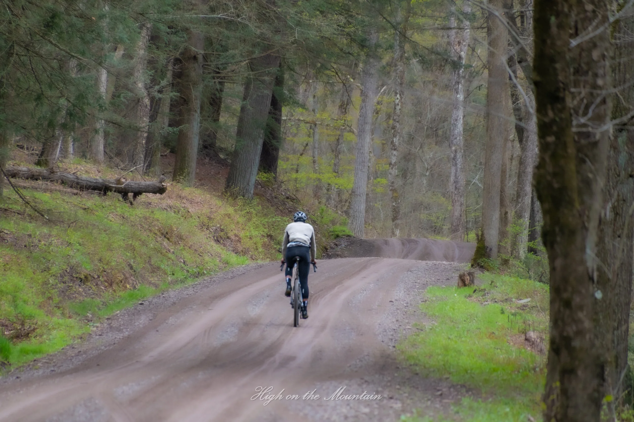 A person riding a bicycle on a dirt mountain trail surrounded by tall trees in a forest.