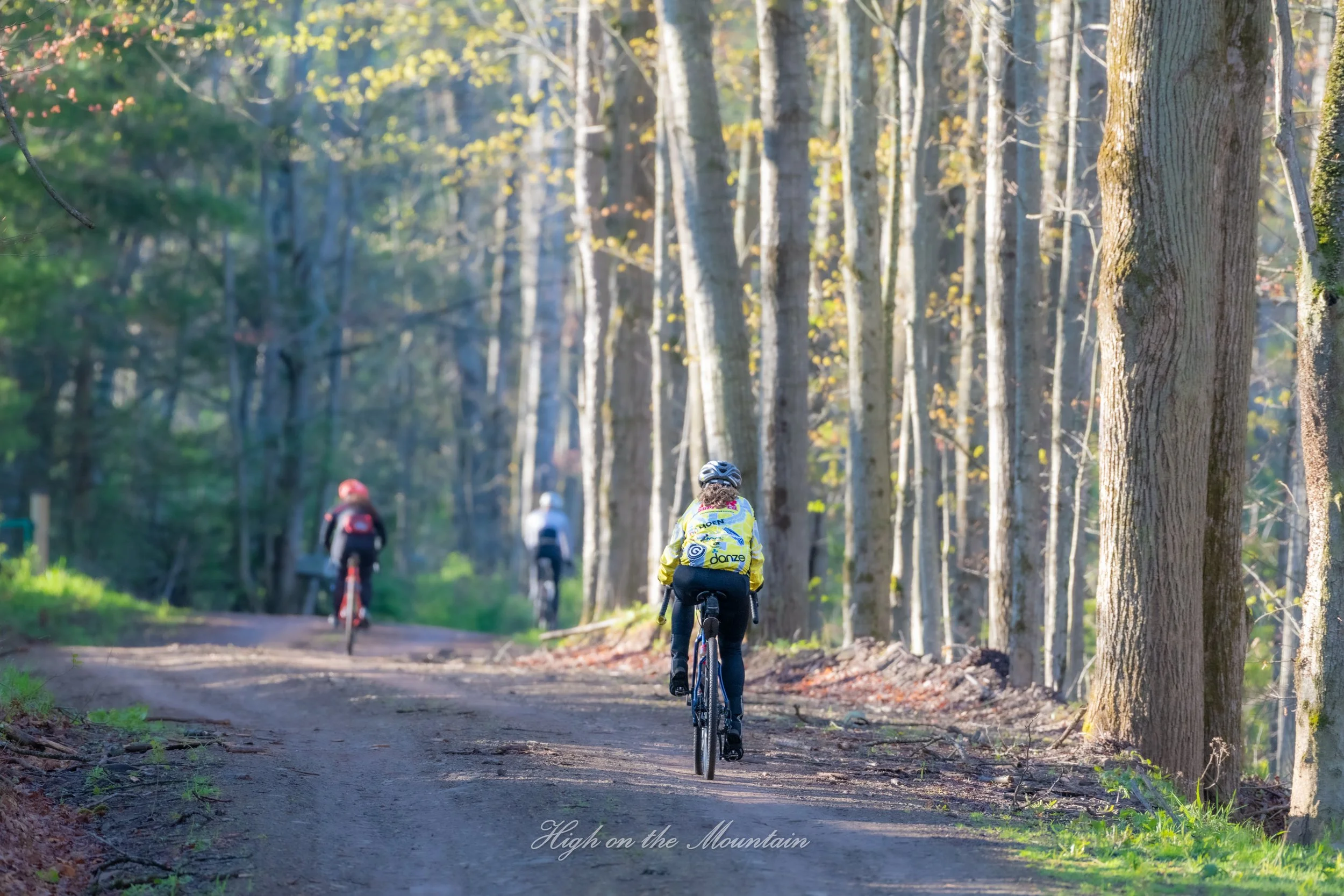People riding bikes through a wooded trail with tall trees, some leaves falling, and sunlight filtering through the branches.