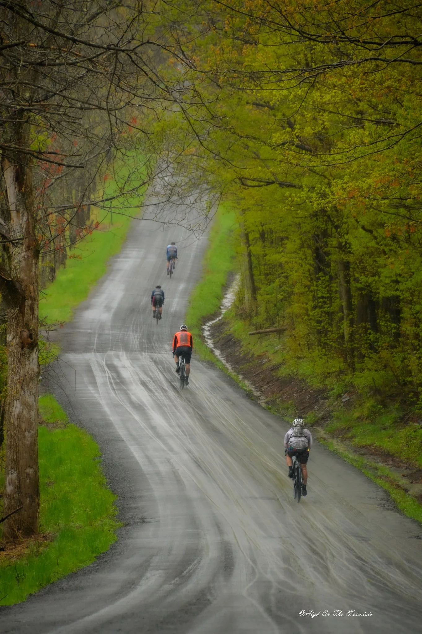 Four cyclists riding on a wet, winding road through a forested area with green and yellow trees on a rainy day.