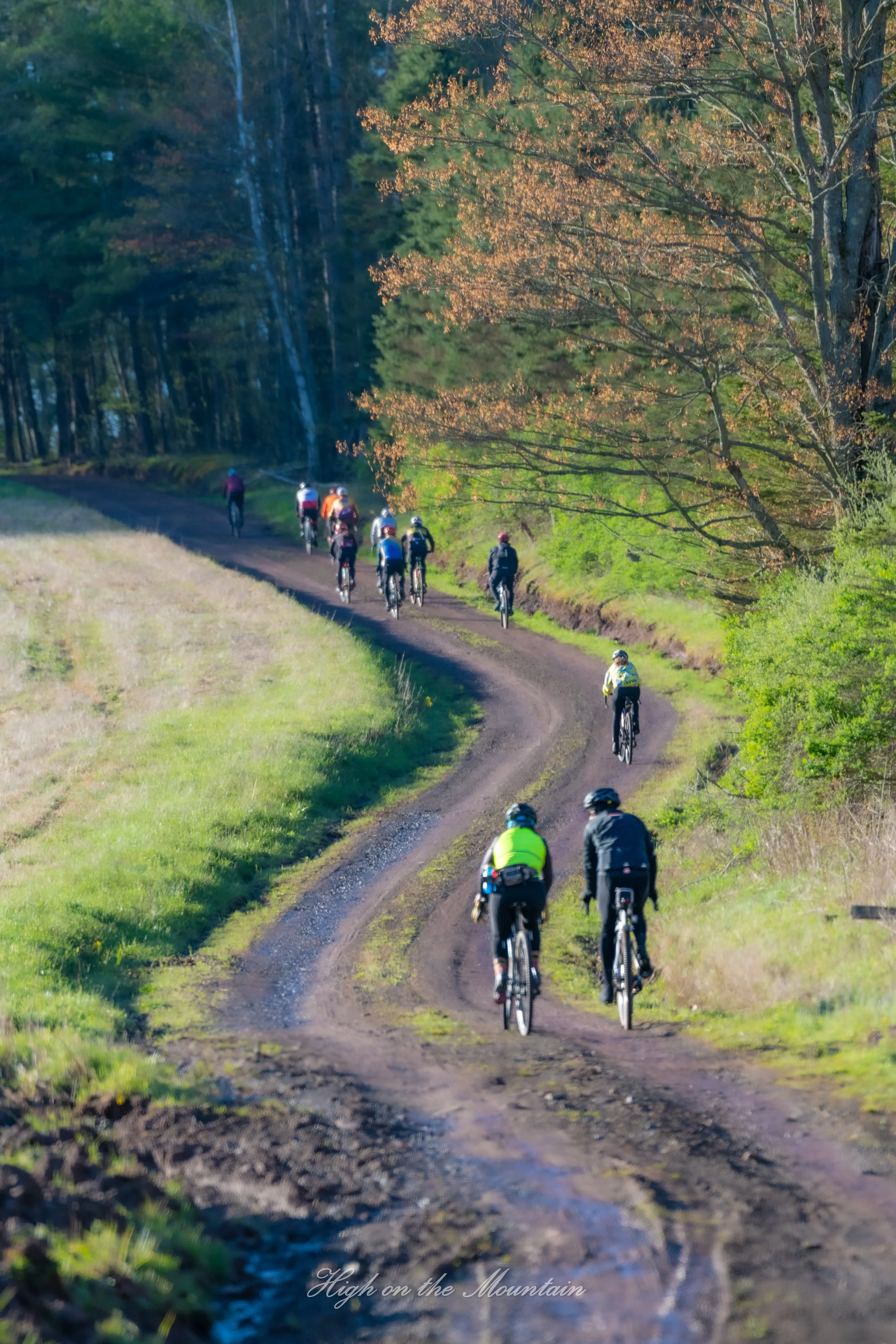 A group of cyclists riding on a dirt trail through a lush, wooded area during fall. The trail twists along the side of a mountain or hill, with trees displaying green and orange leaves. Some cyclists wear bright clothing and helmets, enjoying a sceni