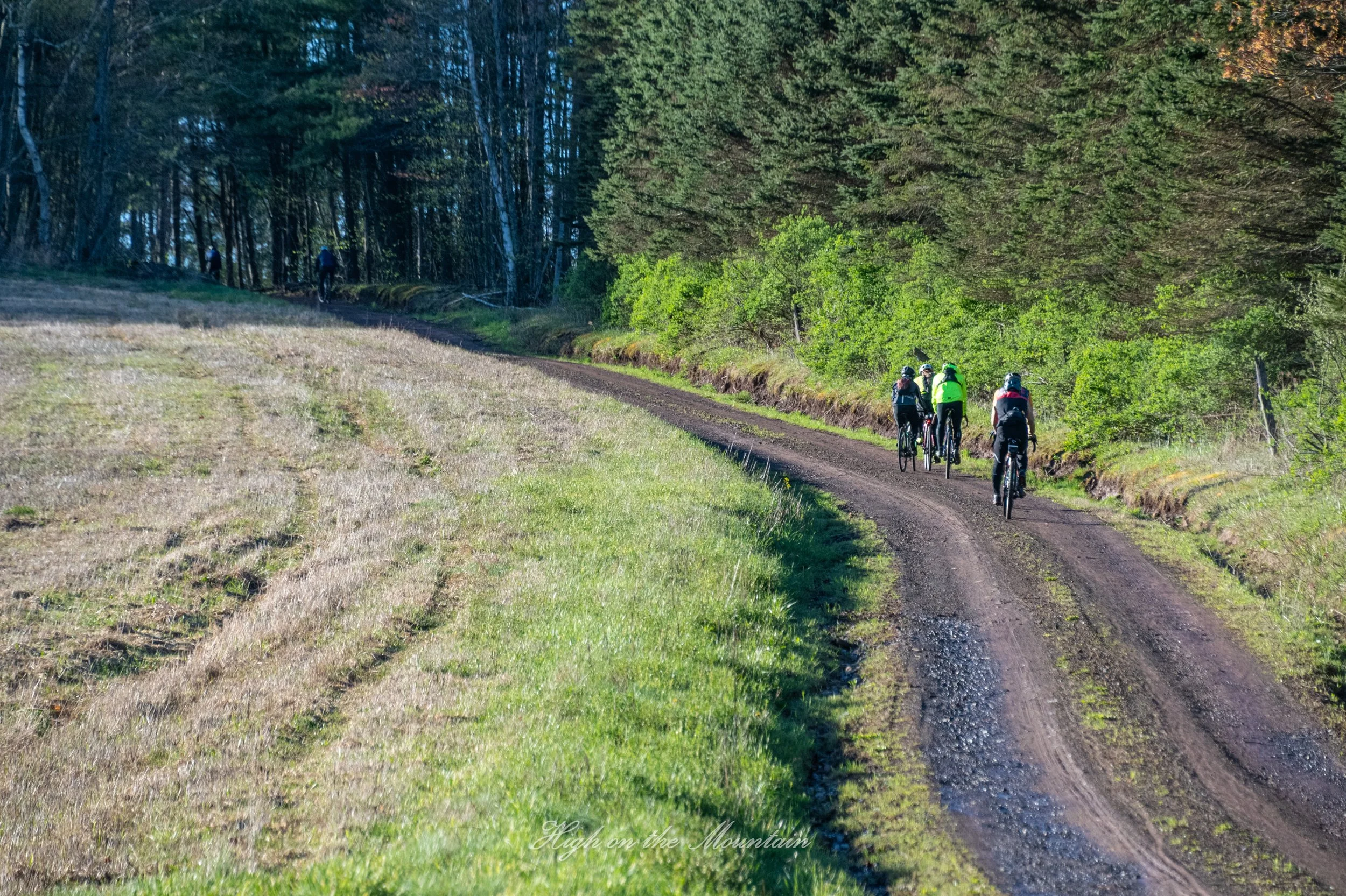 A group of cyclists riding on a dirt trail through a lush green forest. The trees roof the path, with some sunlight filtering through.