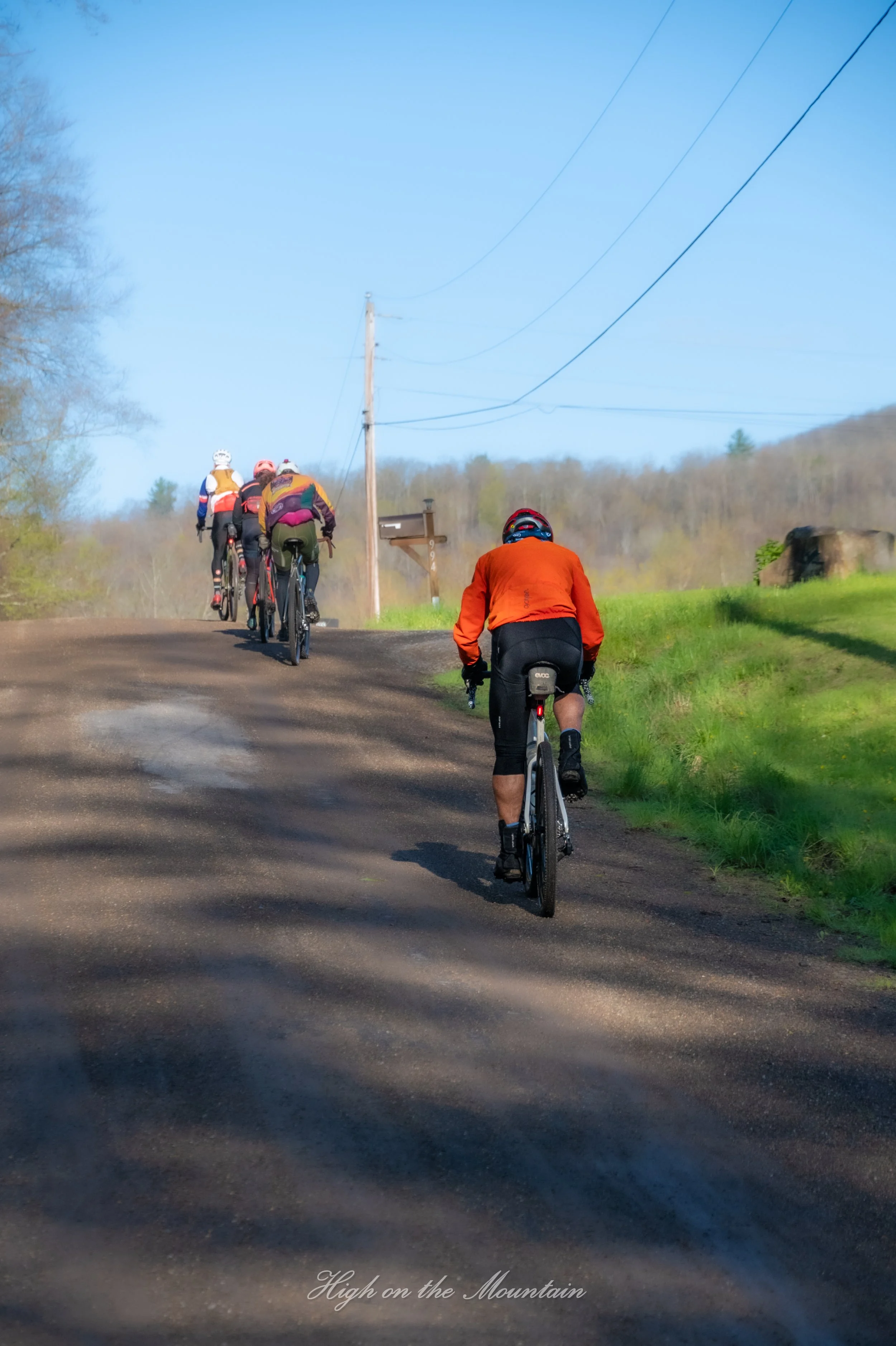 A group of five cyclists riding on a road through a rural area with green grass and trees on both sides, under a clear blue sky. The photo is taken from behind and shows the cyclists' backs, with one cyclist in an orange jacket in the foreground. The