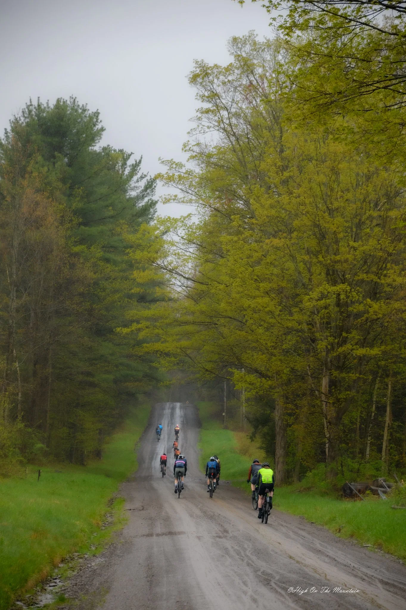 A group of cyclists riding on a dirt road through a green forest with tall trees and an overcast sky.