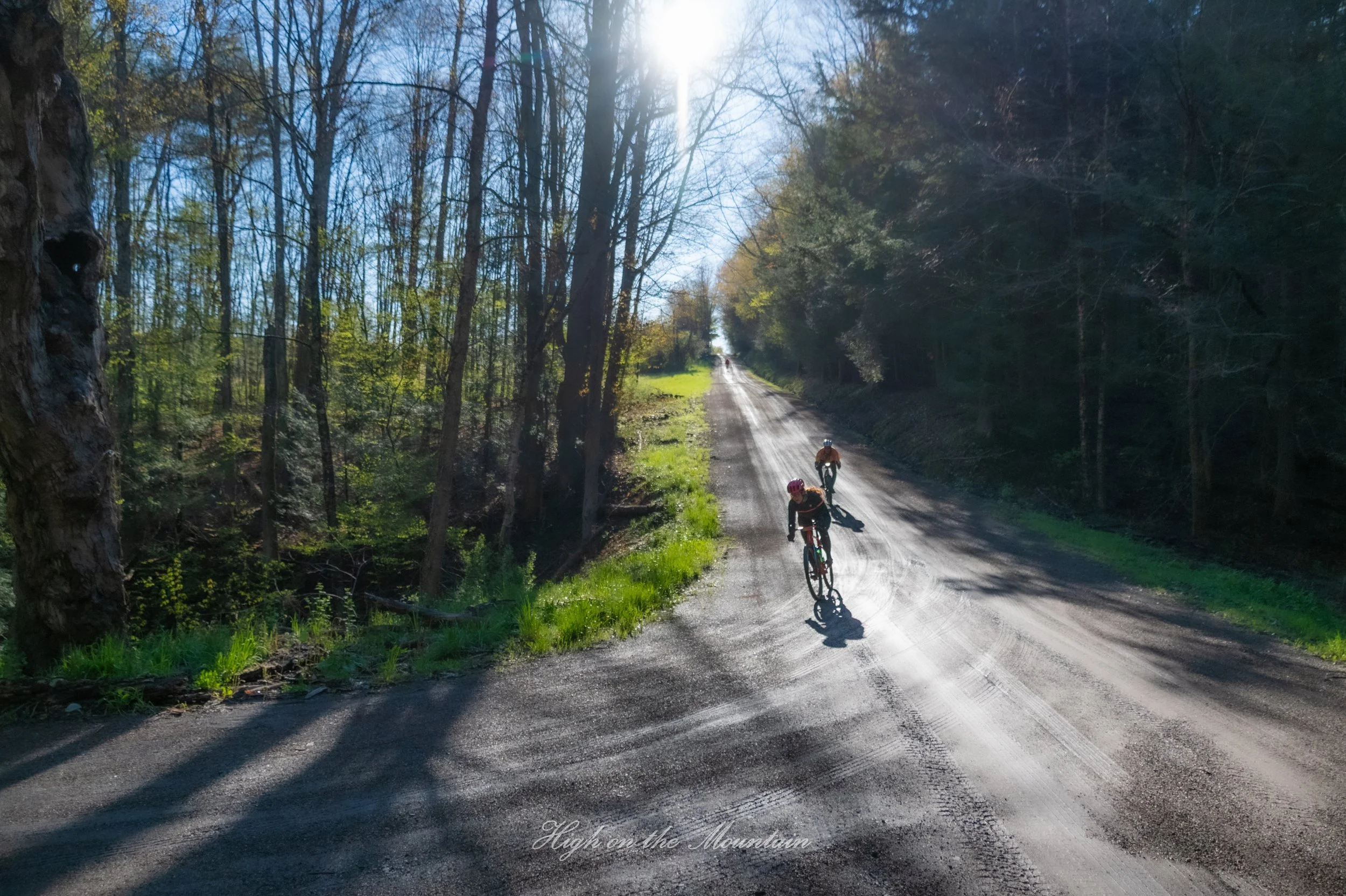 Two cyclists riding on a dirt road in a wooded area on a sunny day.