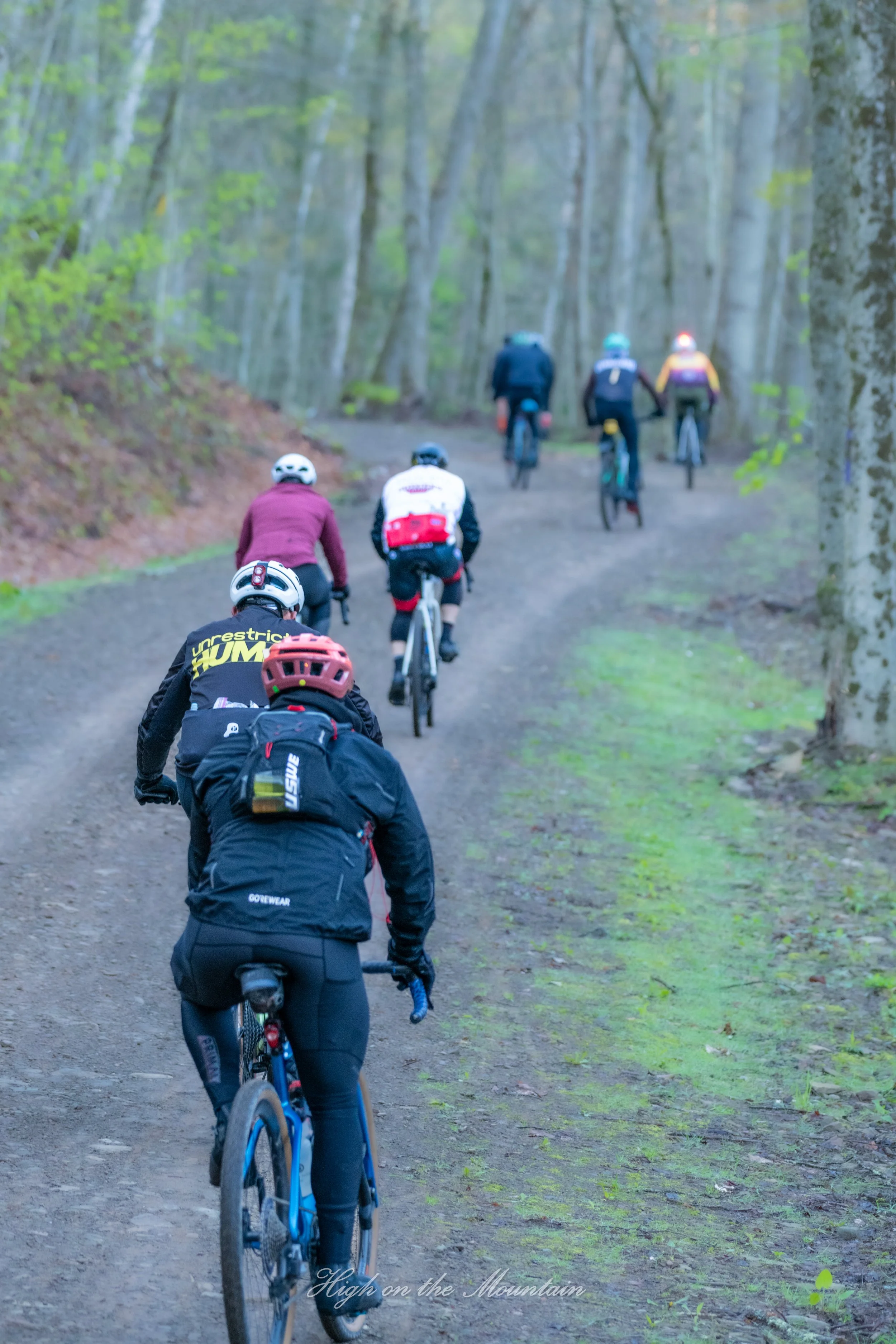 A group of mountain bike riders cycling on a dirt trail through a forest with tall trees and green leaves. The riders are wearing helmets and outdoor gear, moving in the same direction along the trail.