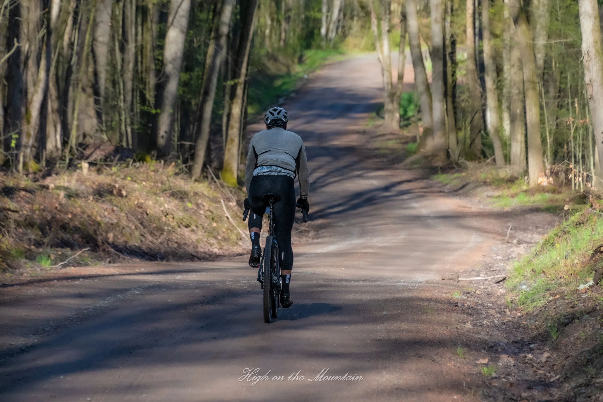 A person riding a mountain bike uphill on a dirt trail surrounded by trees in a forest.