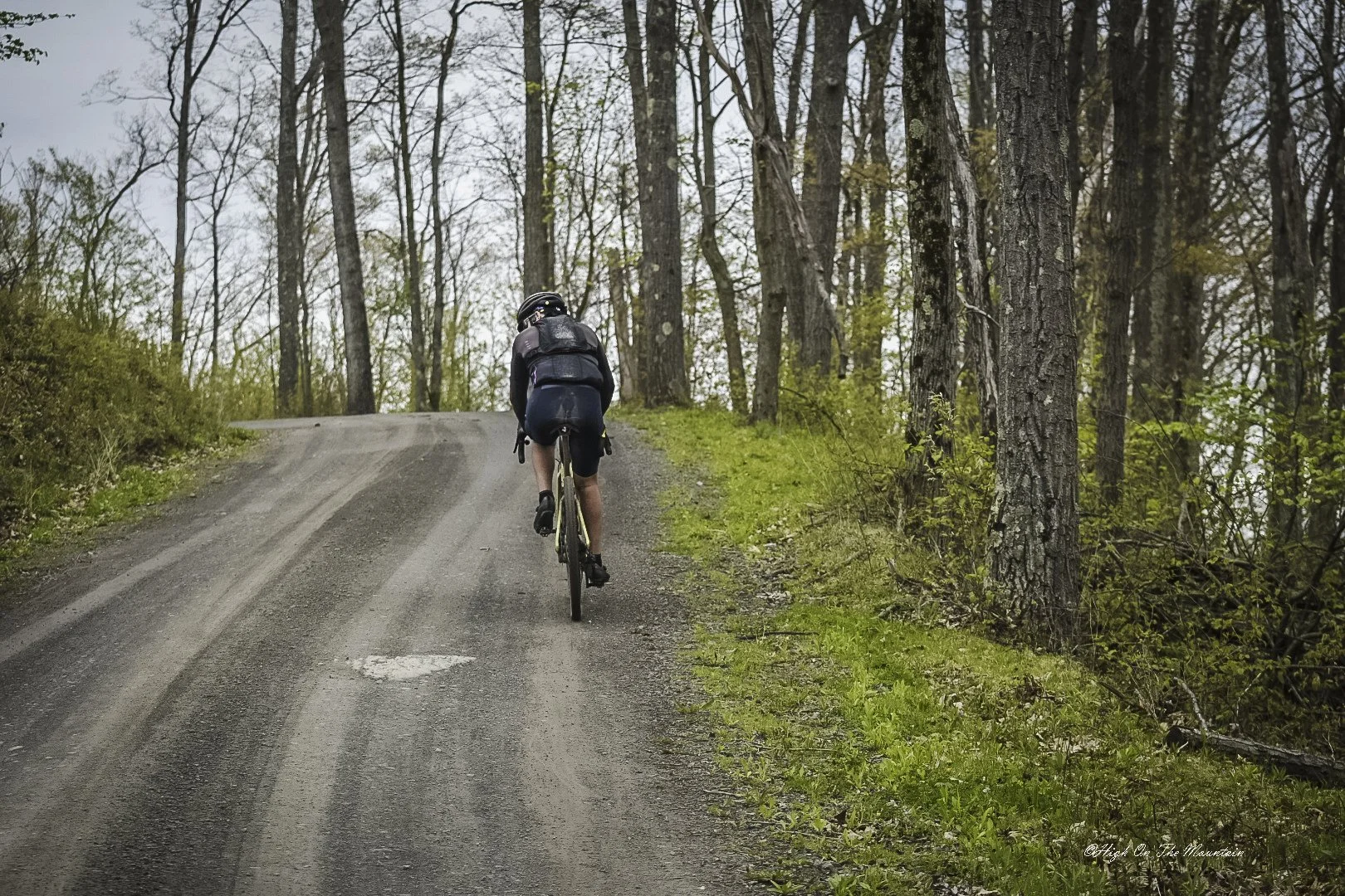 A person riding a mountain bike up a dirt trail in a forested area with tall trees and green foliage.