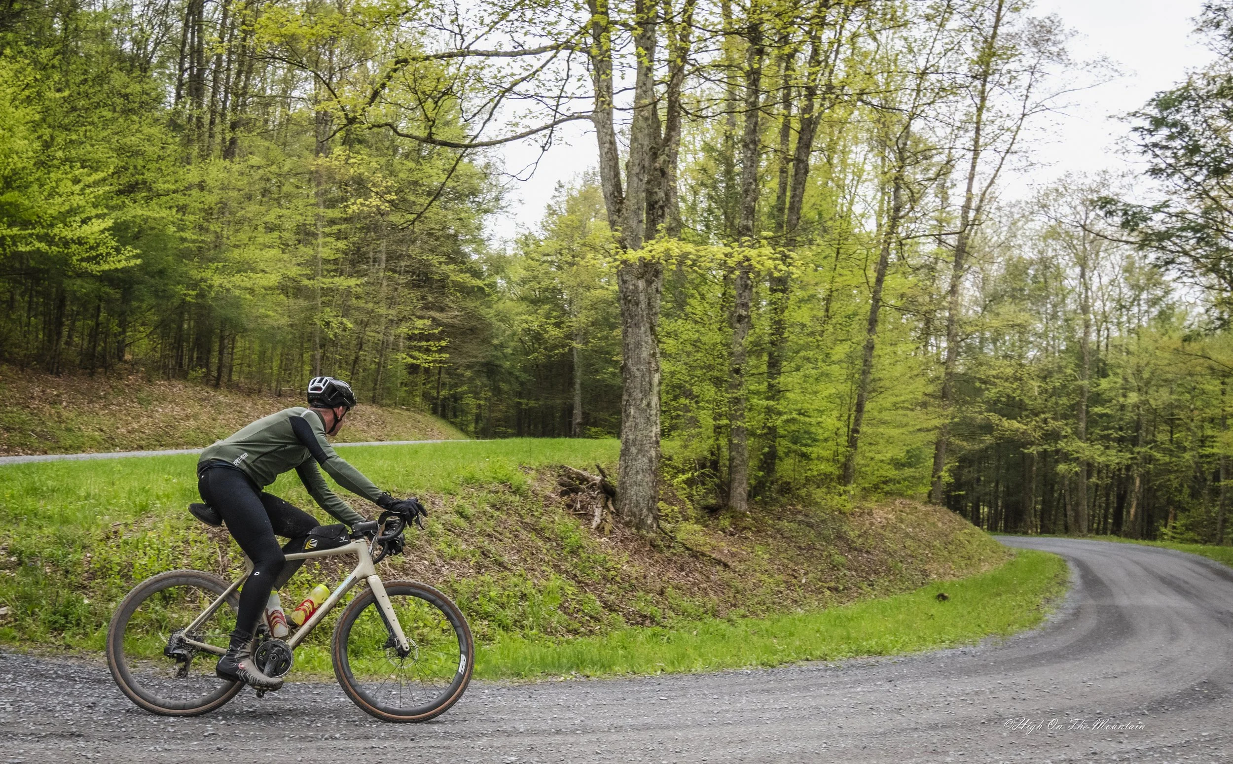 A person riding a mountain bike on a trail through a forest with green trees and grass.